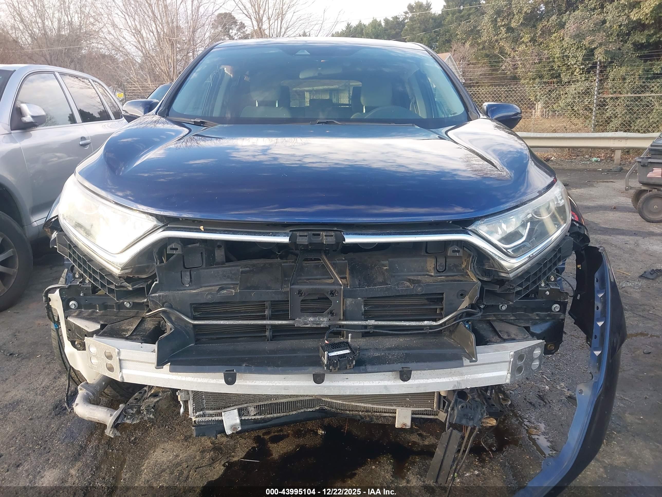 HONDA CR-V image 6