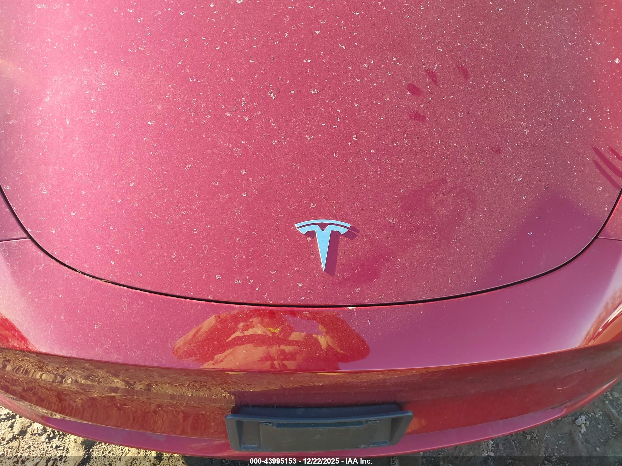 TESLA MODEL image 10