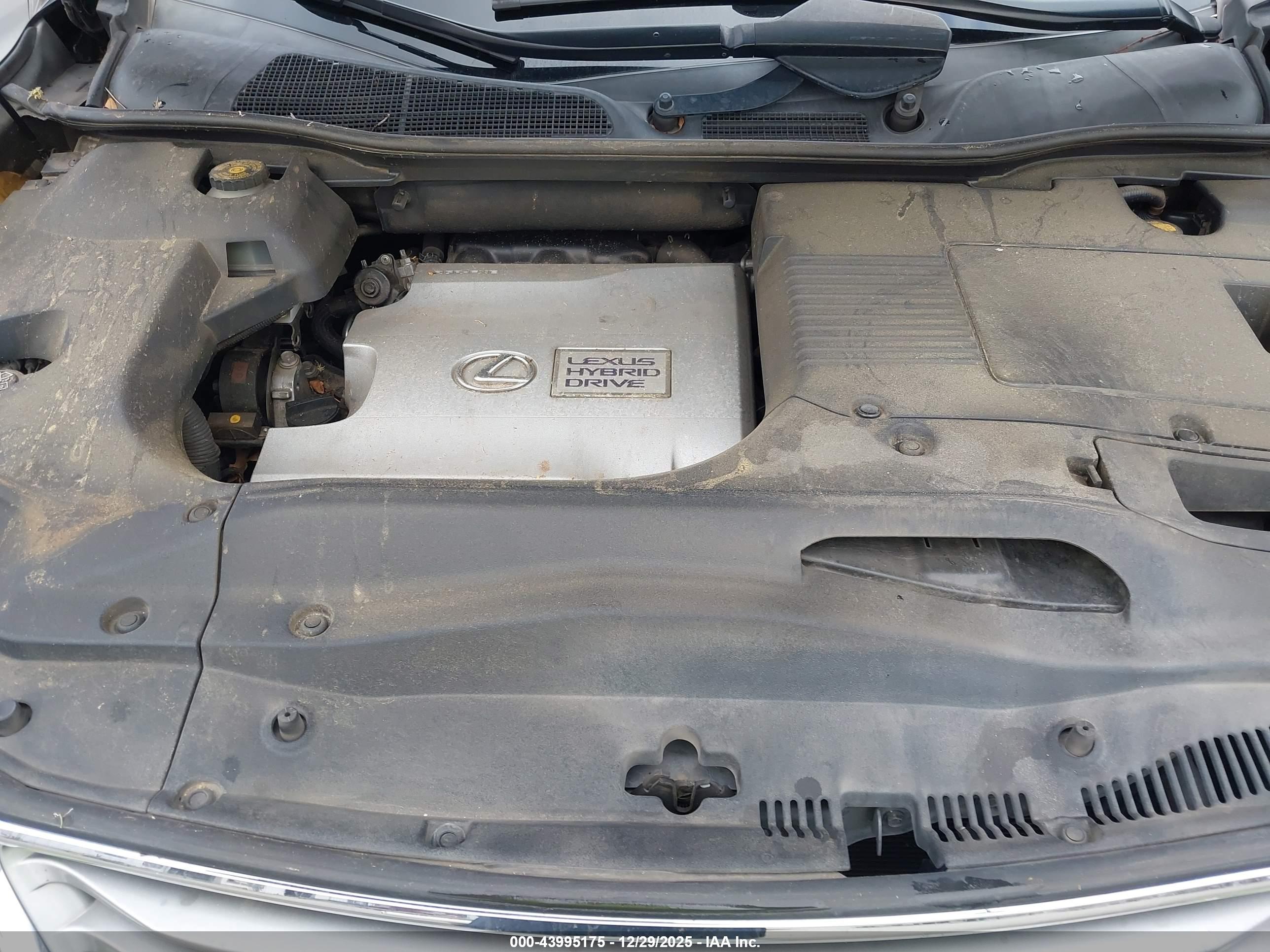 LEXUS RX image 10