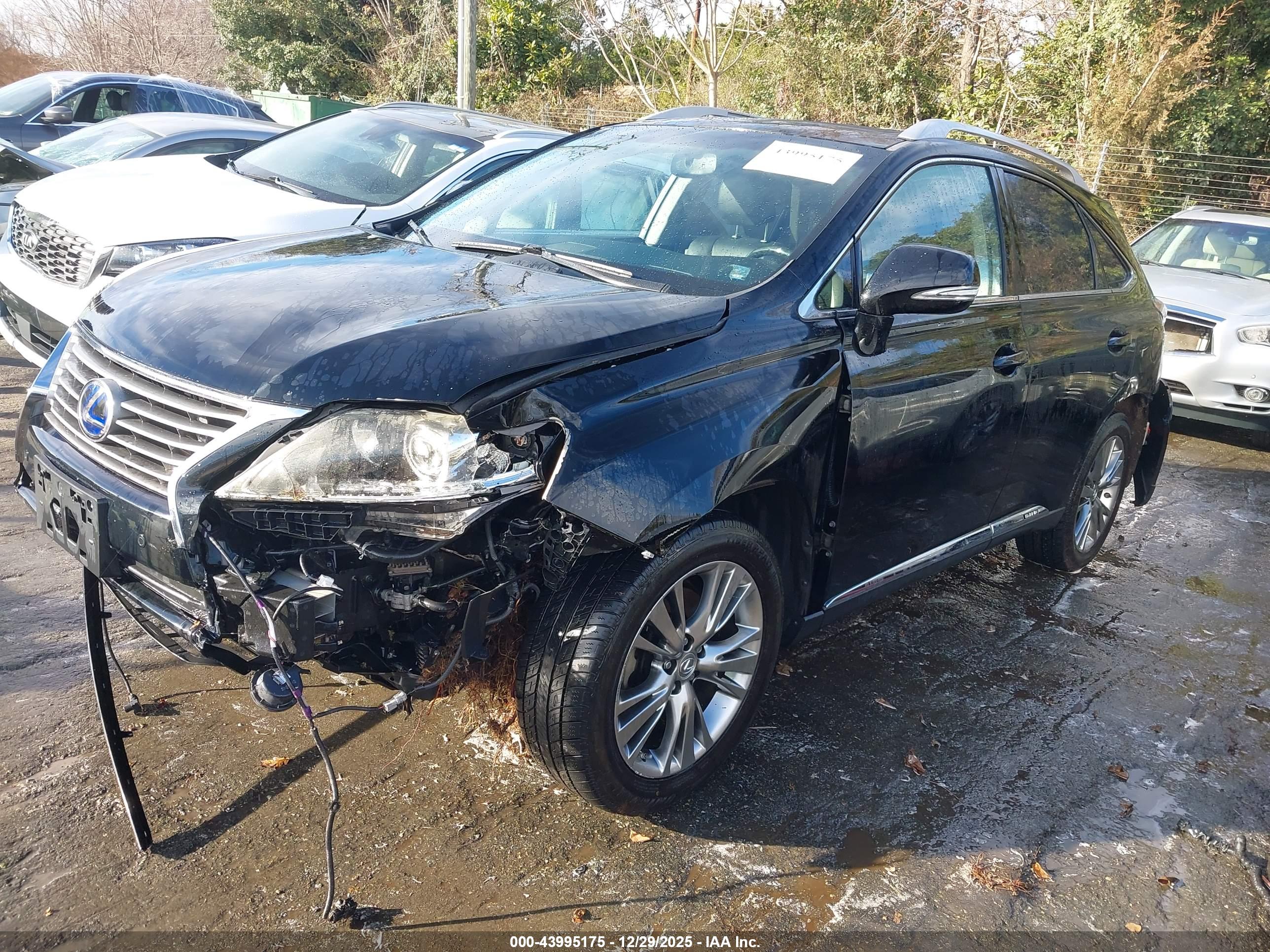 LEXUS RX image 2