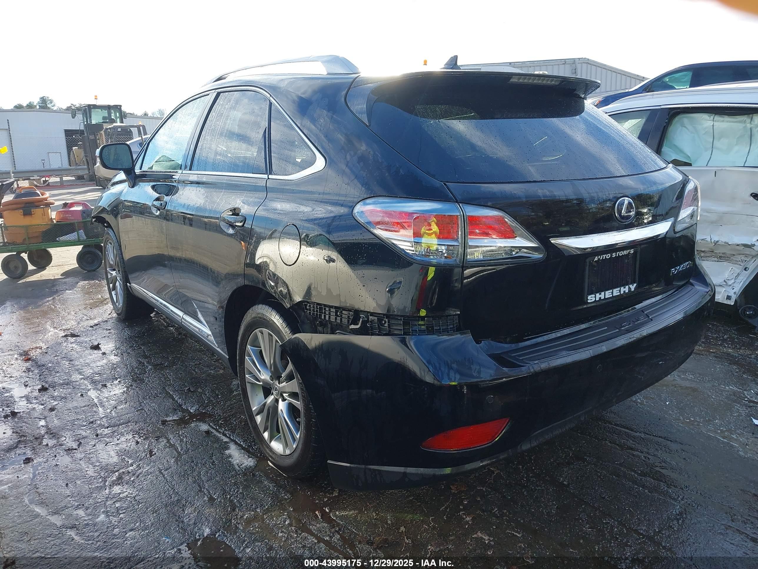 LEXUS RX image 3