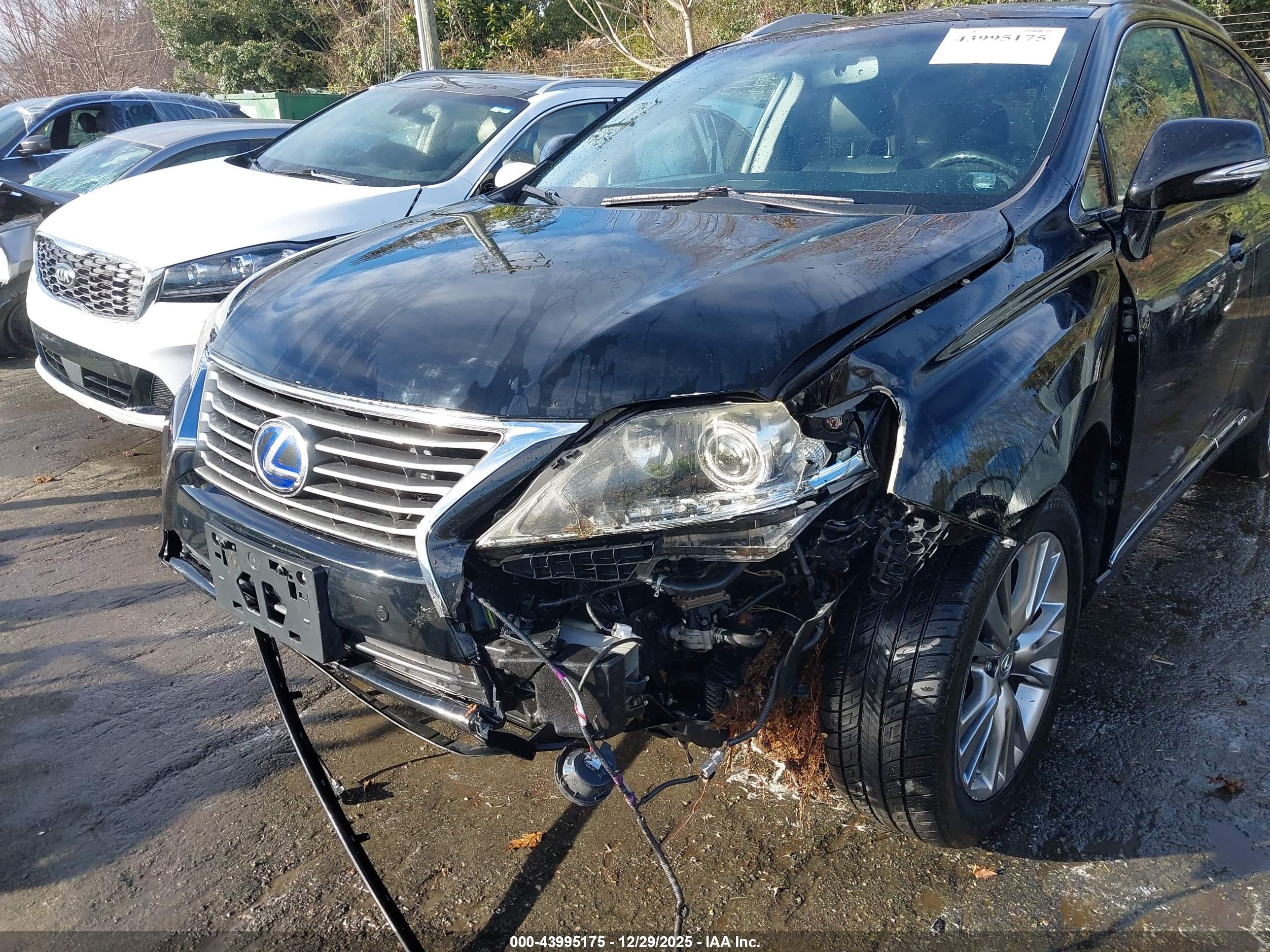 LEXUS RX image 6