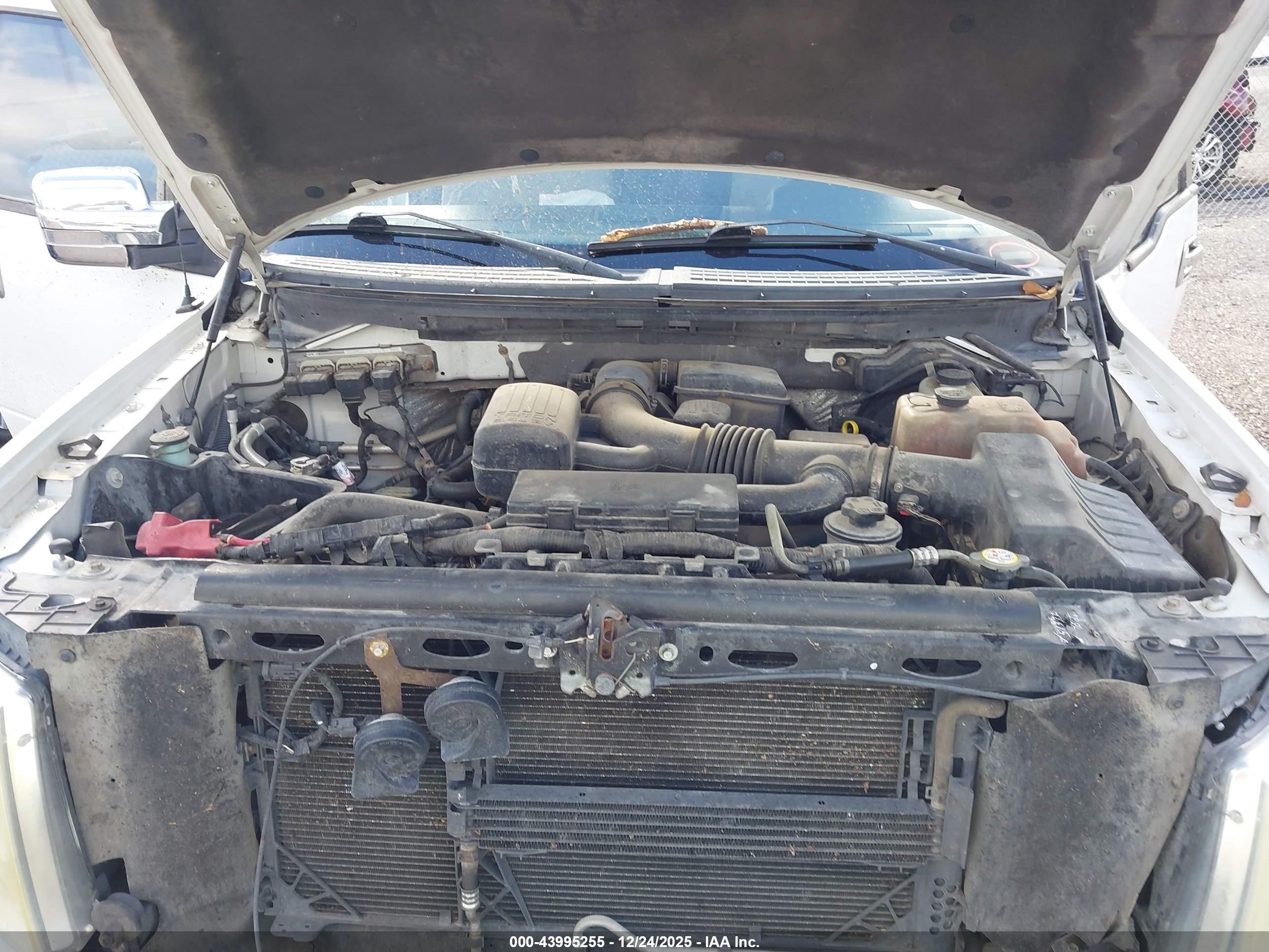 FORD F-150 image 10