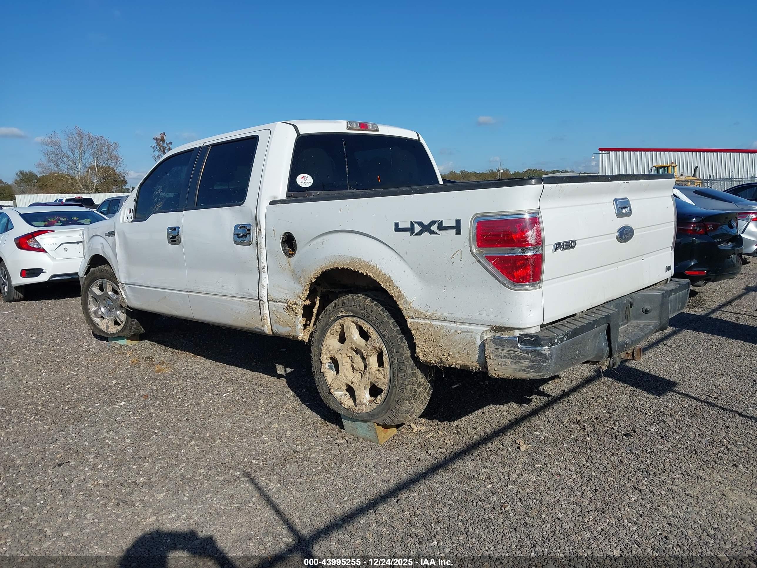 FORD F-150 image 3