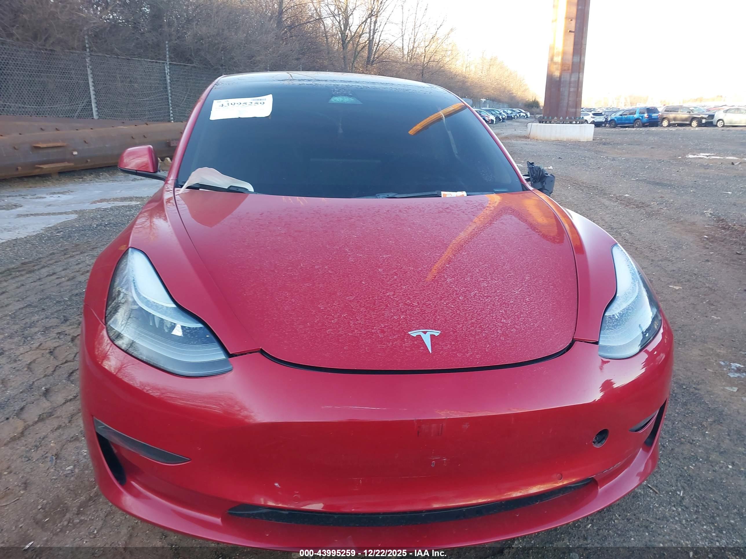 TESLA MODEL image 10