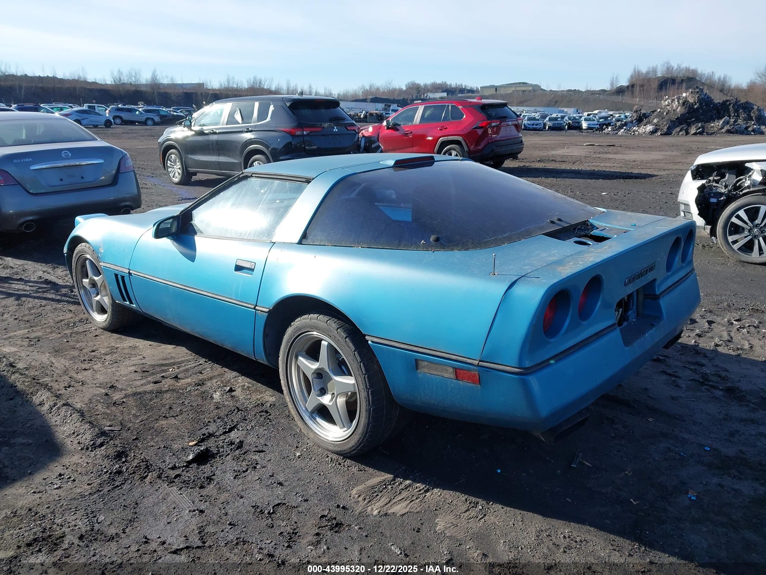 CHEVROLET CORVETTE image 3