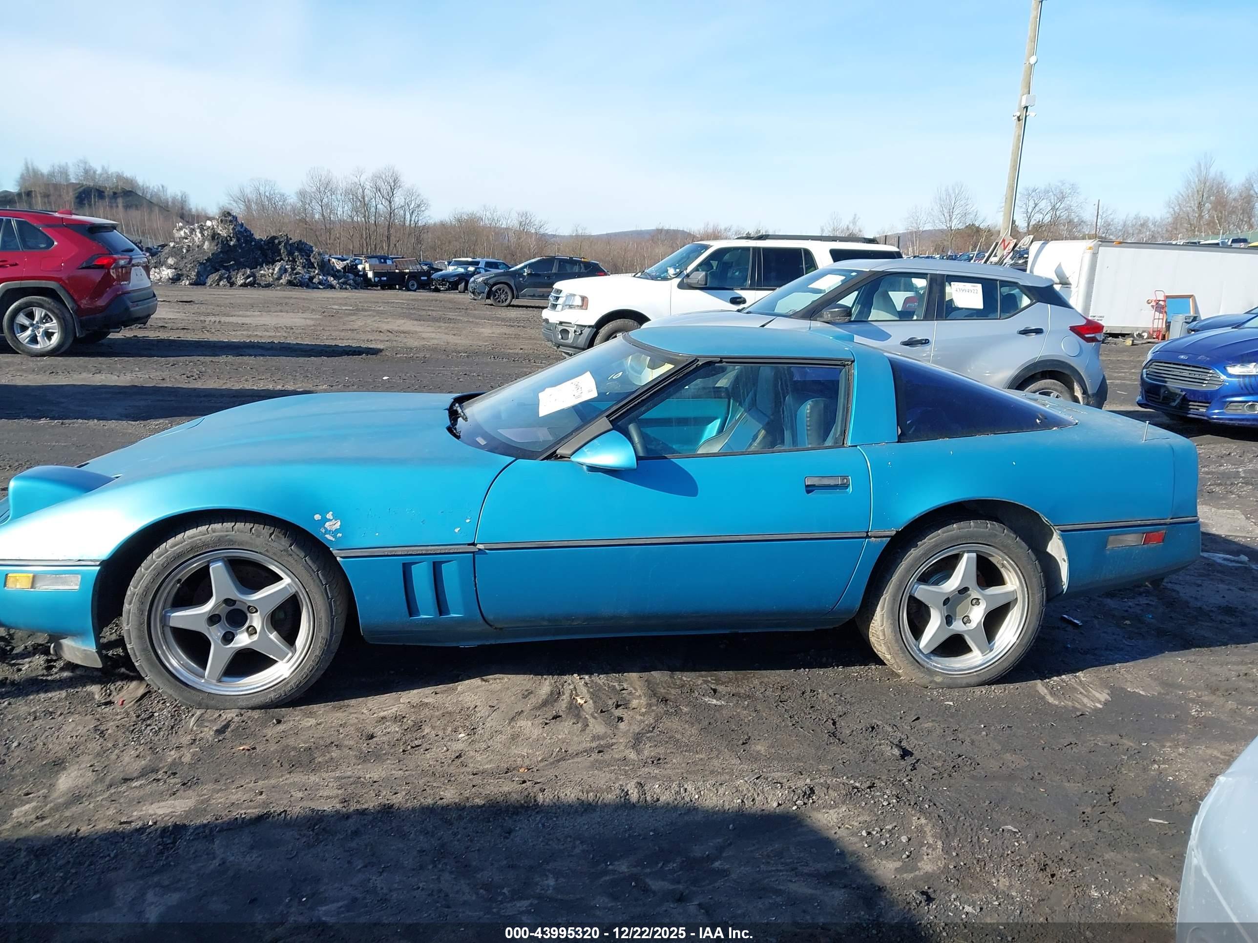 CHEVROLET CORVETTE image 6