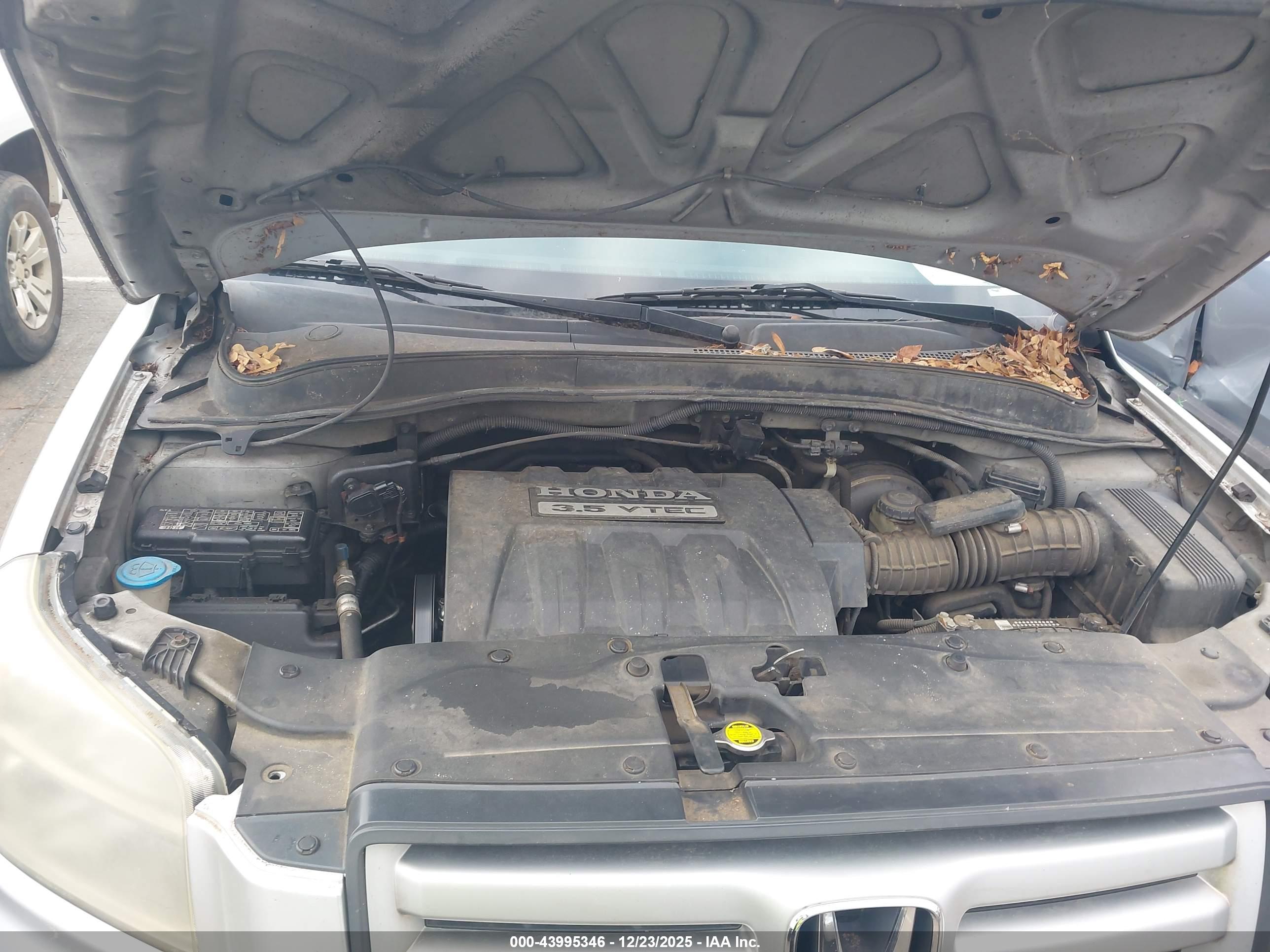 HONDA PILOT image 10