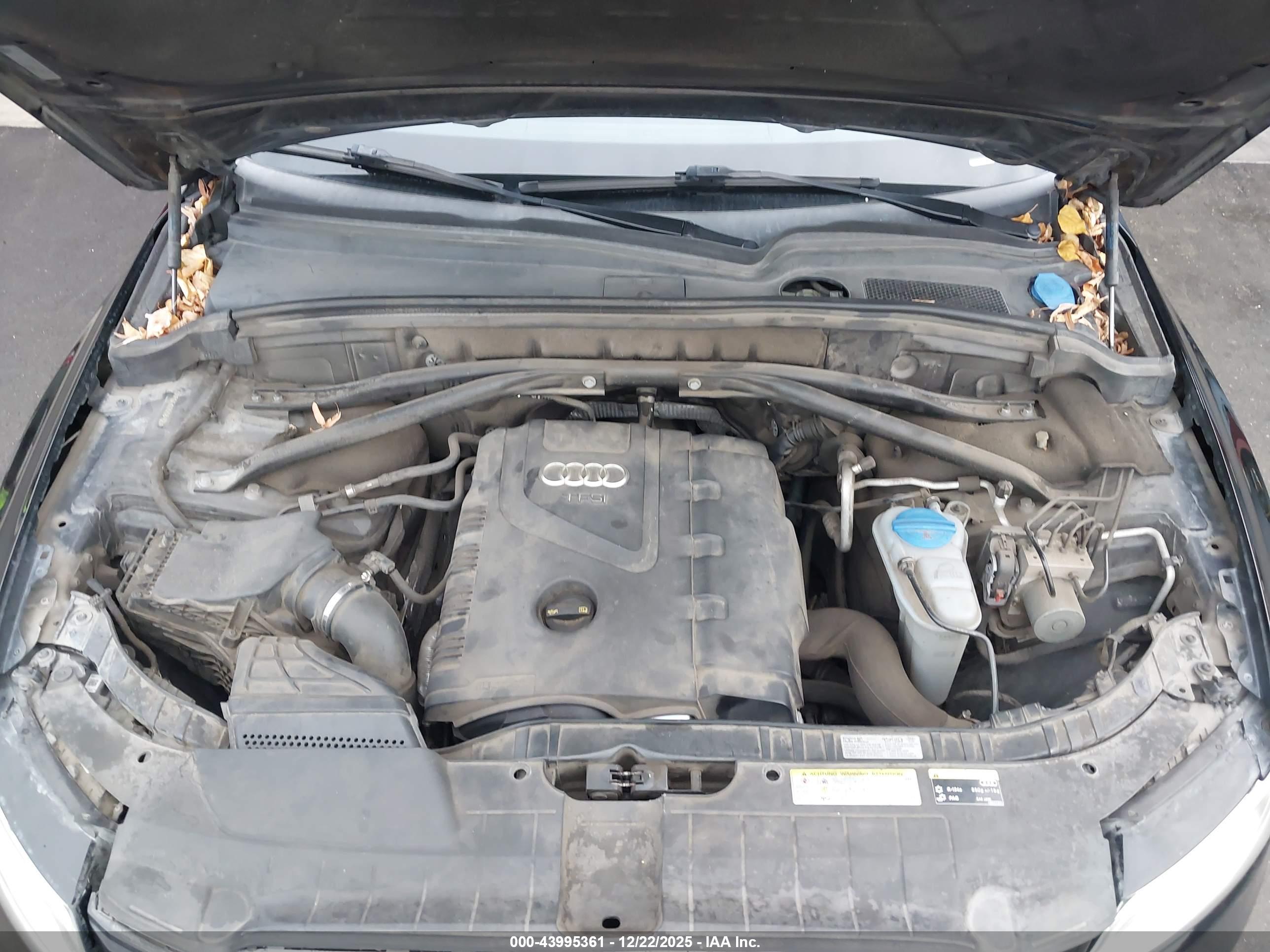 AUDI Q5 image 10