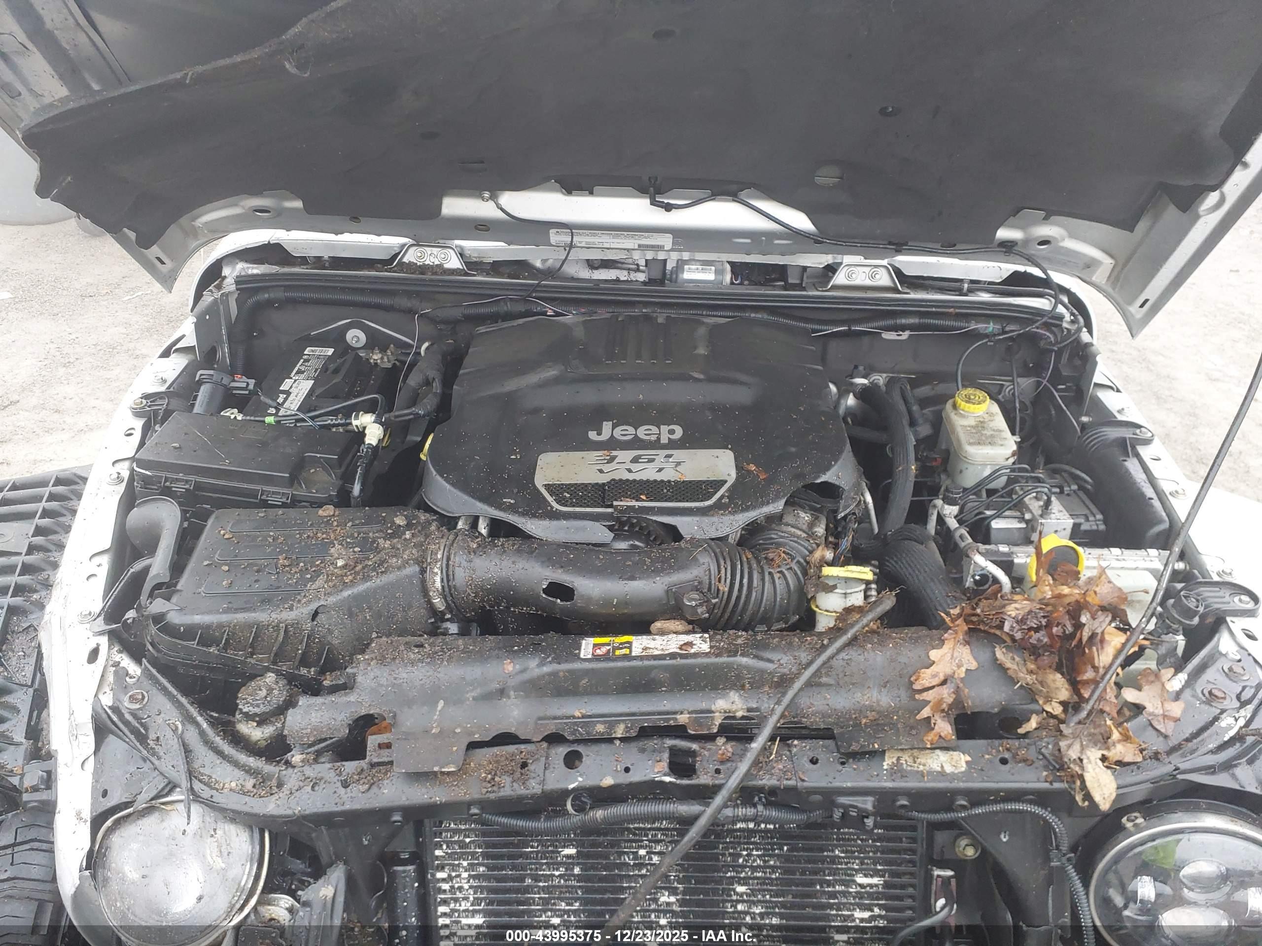 JEEP WRANGLER image 10