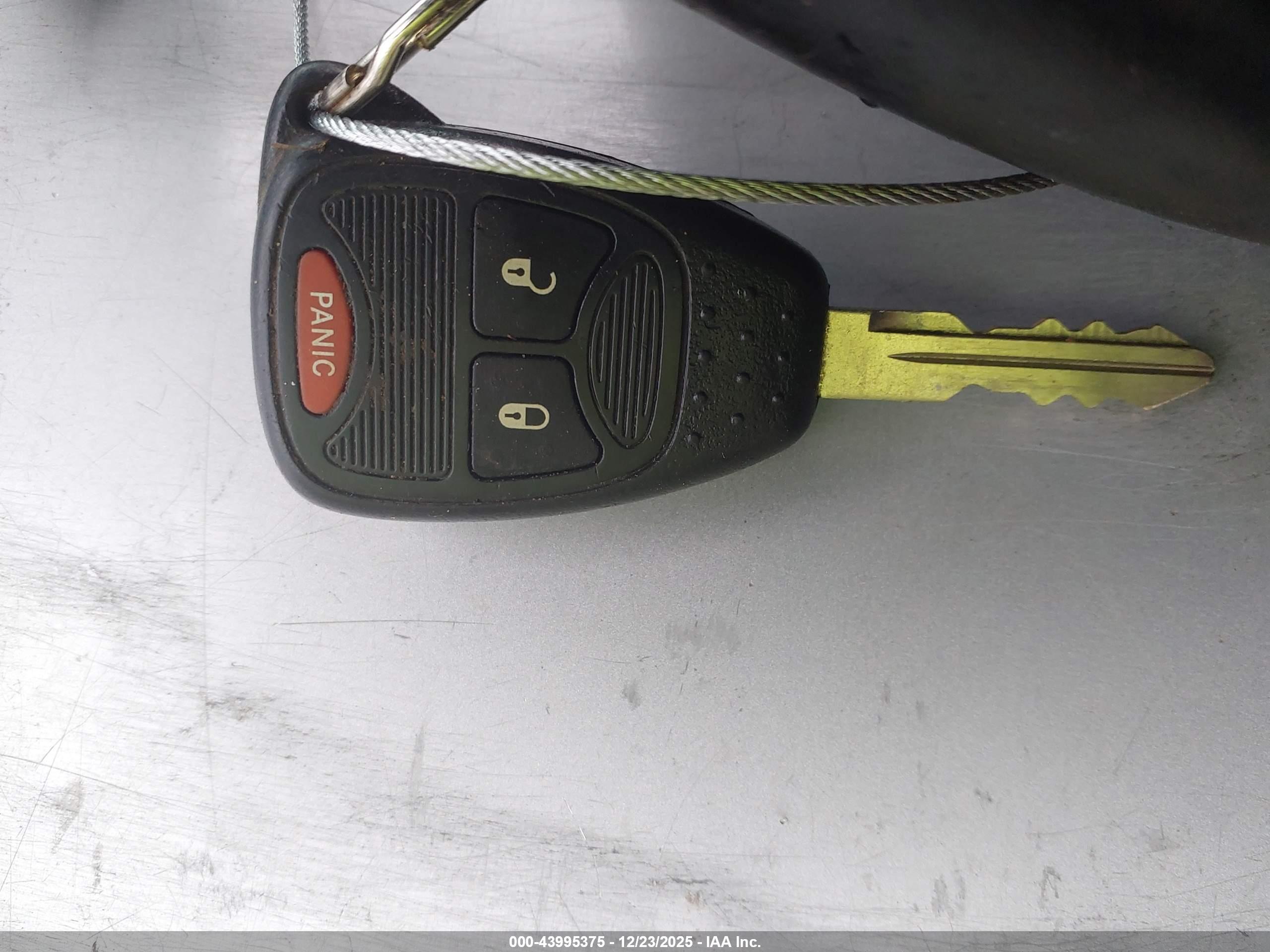 JEEP WRANGLER image 11