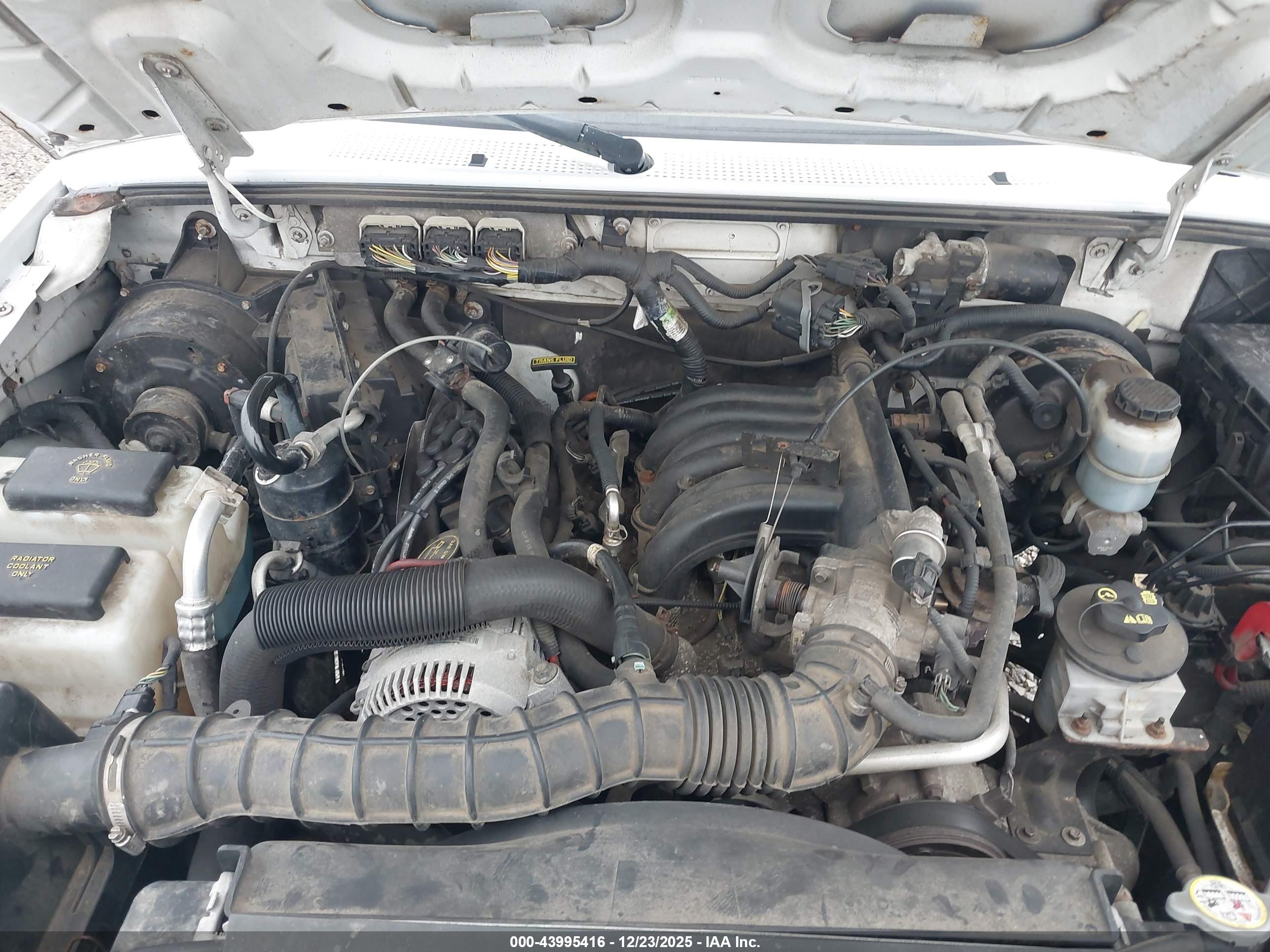 FORD RANGER image 10