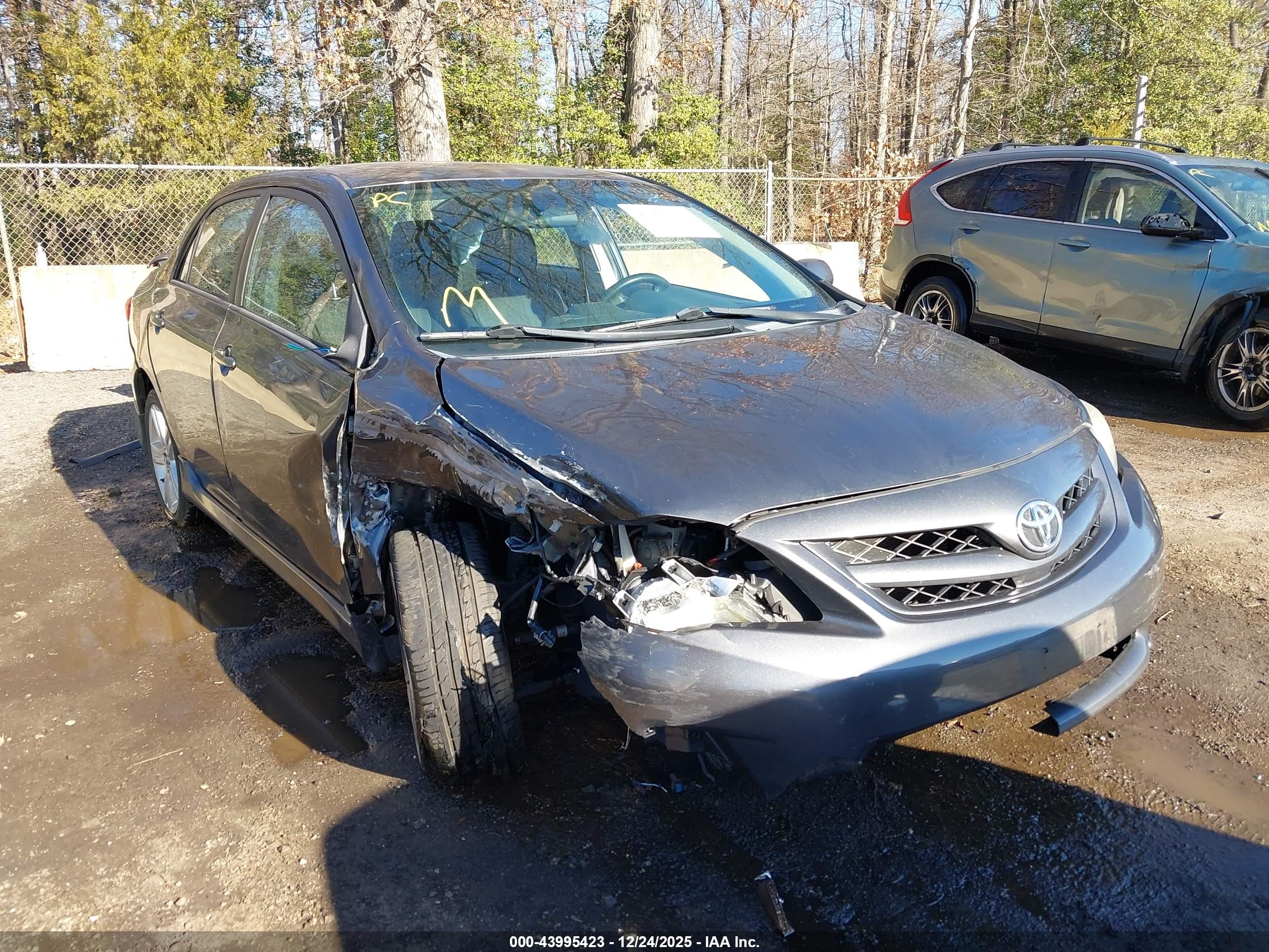 TOYOTA COROLLA image 6