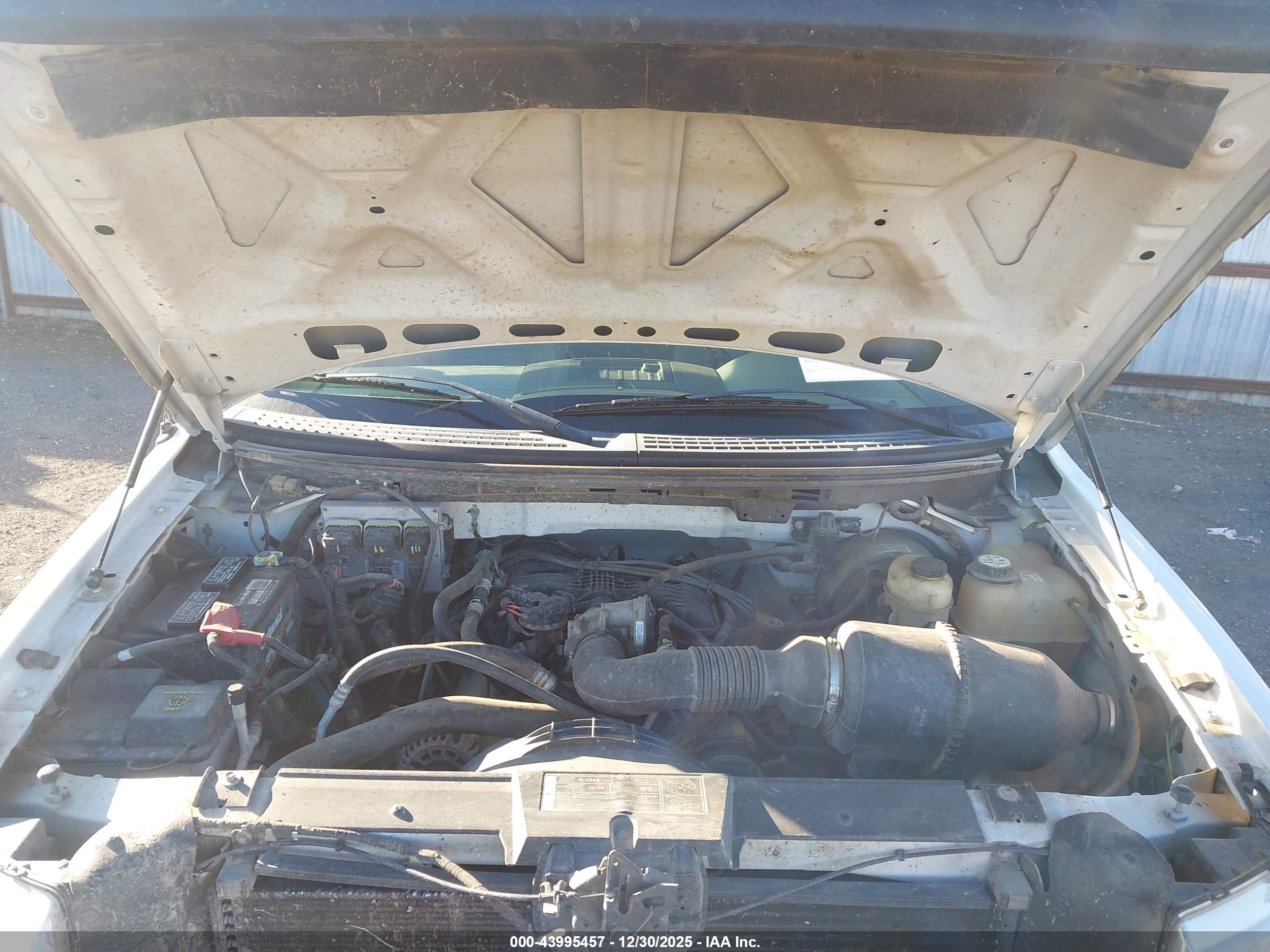 FORD F-150 image 10