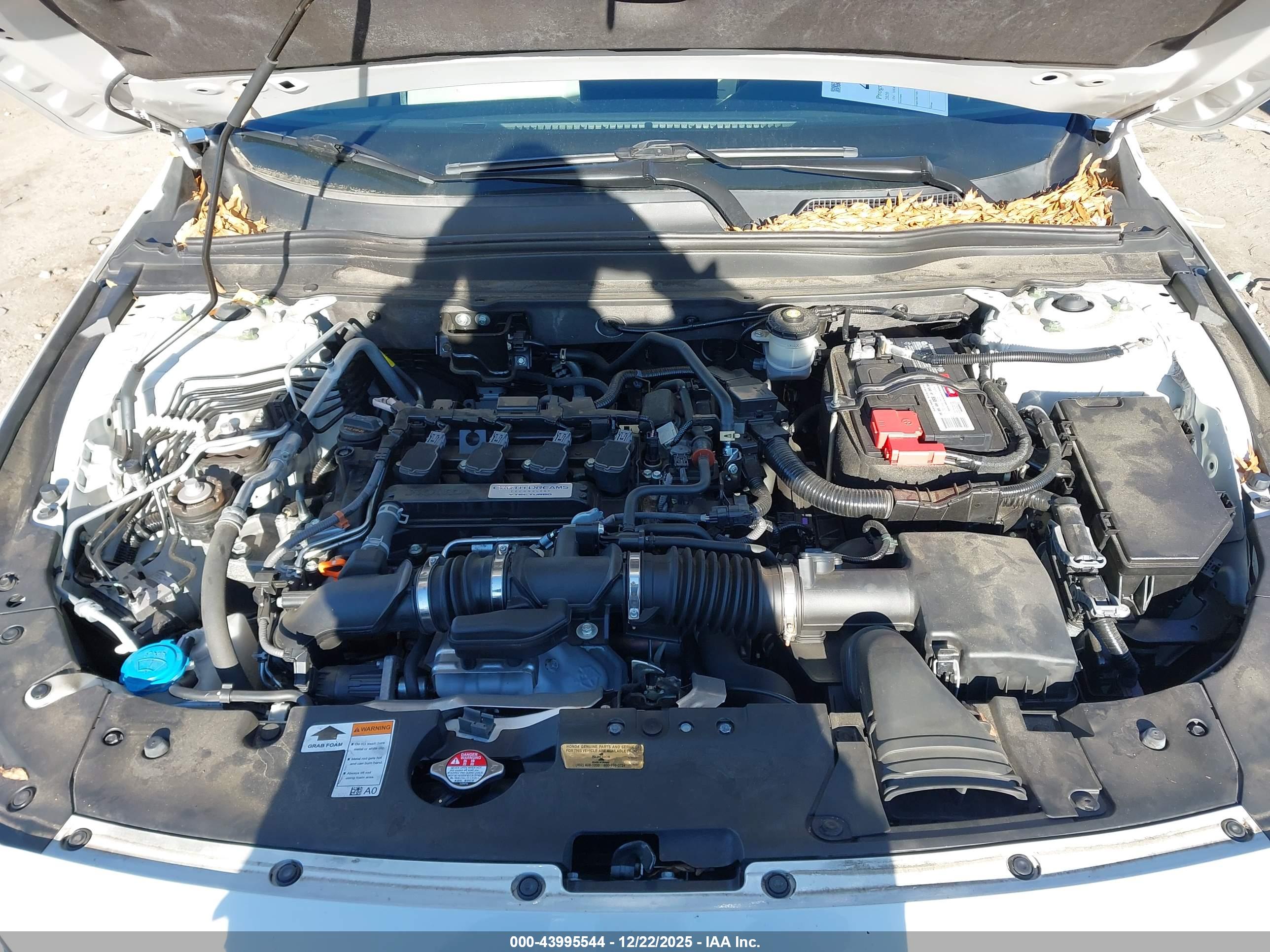 HONDA ACCORD image 10