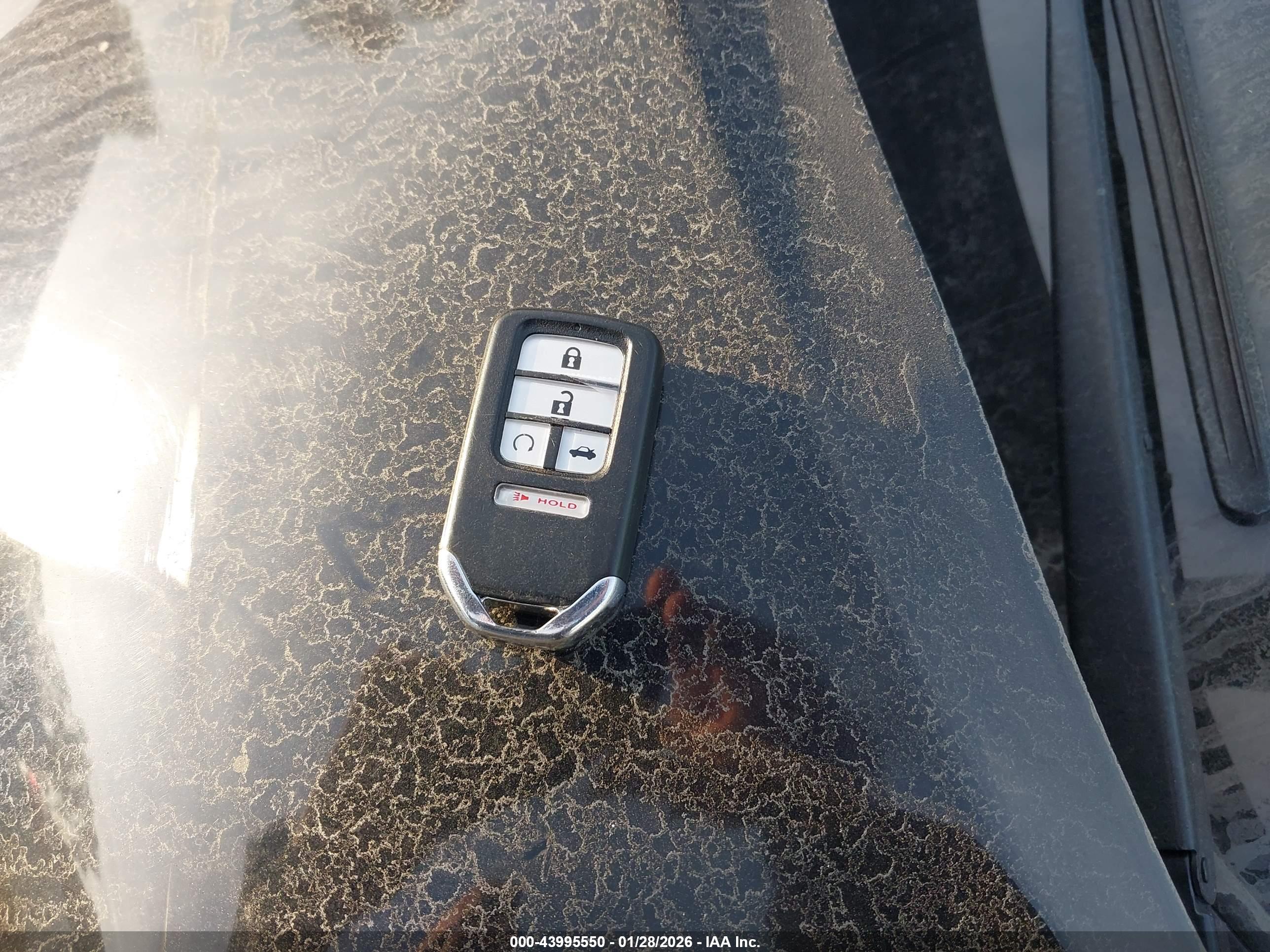 HONDA CIVIC image 11