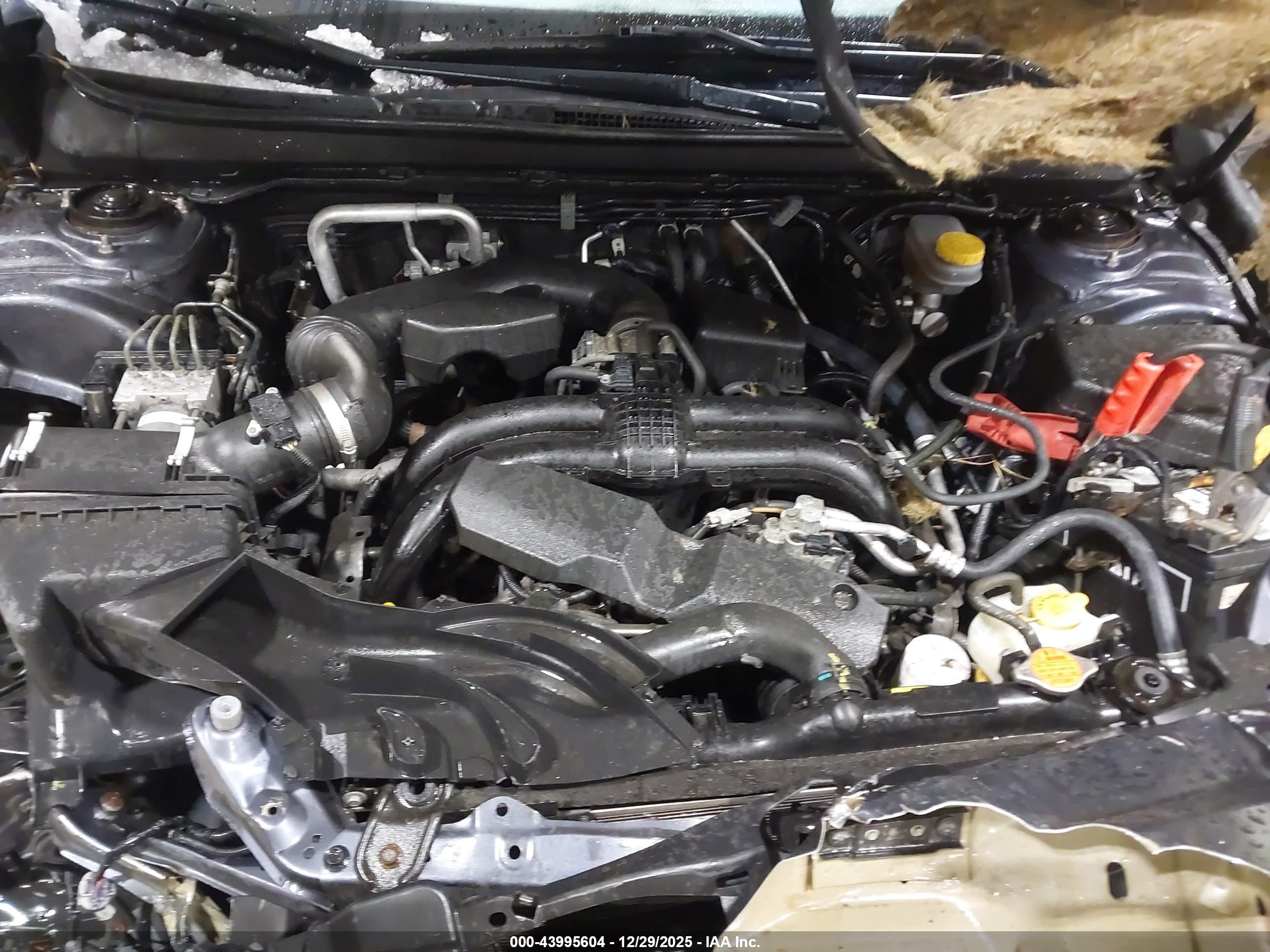 SUBARU OUTBACK image 10