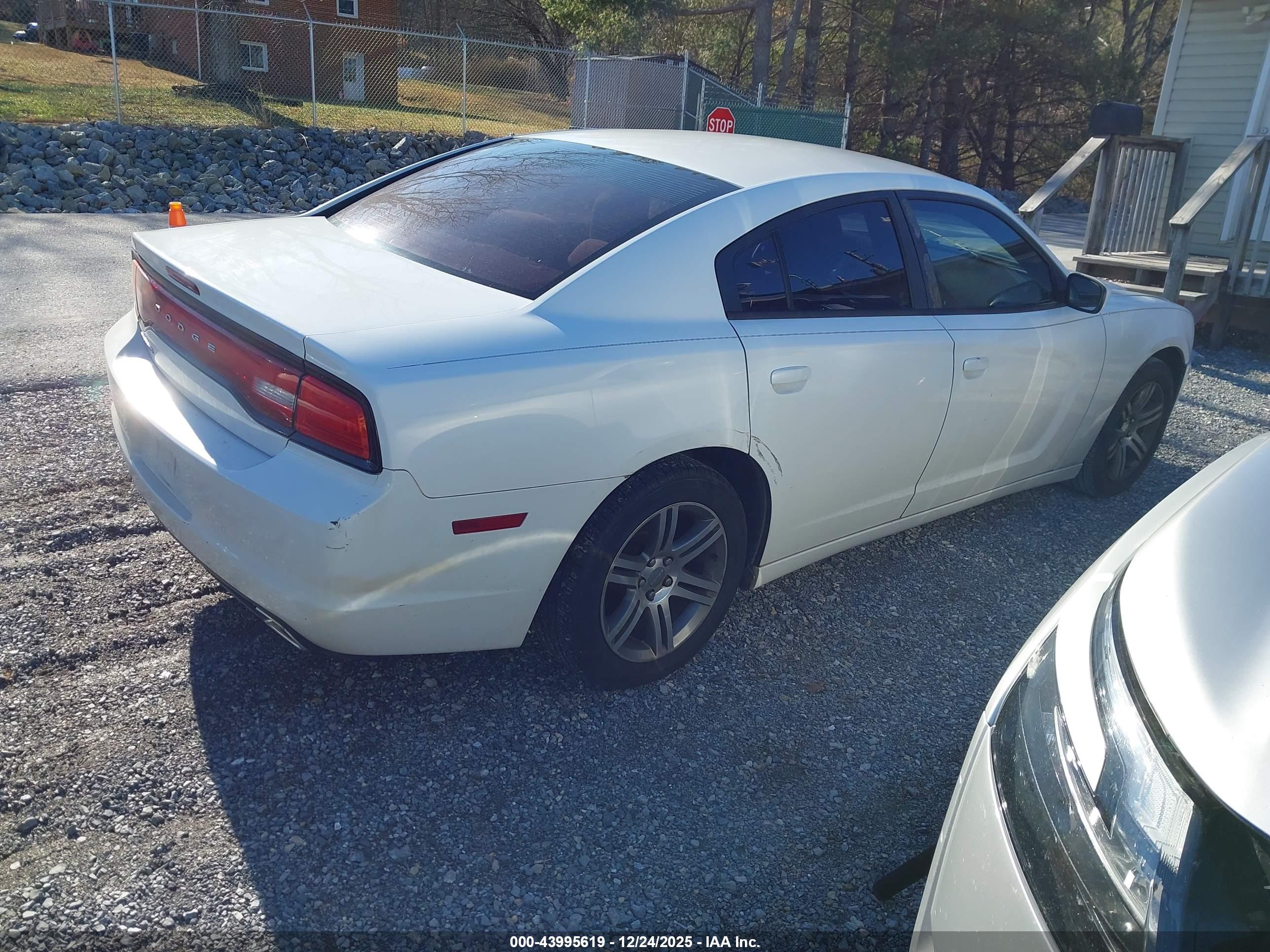 DODGE CHARGER image 4