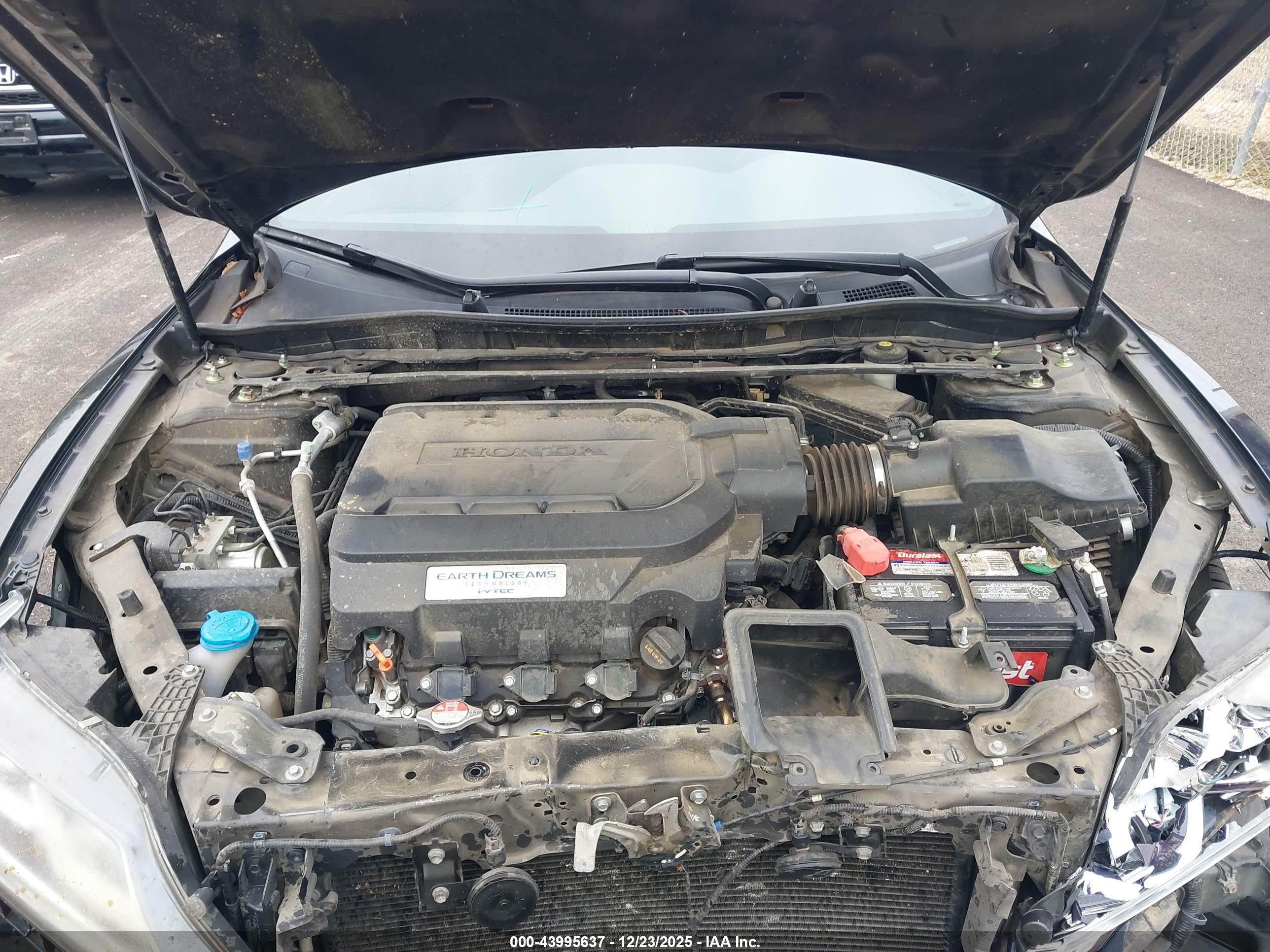 HONDA ACCORD image 10