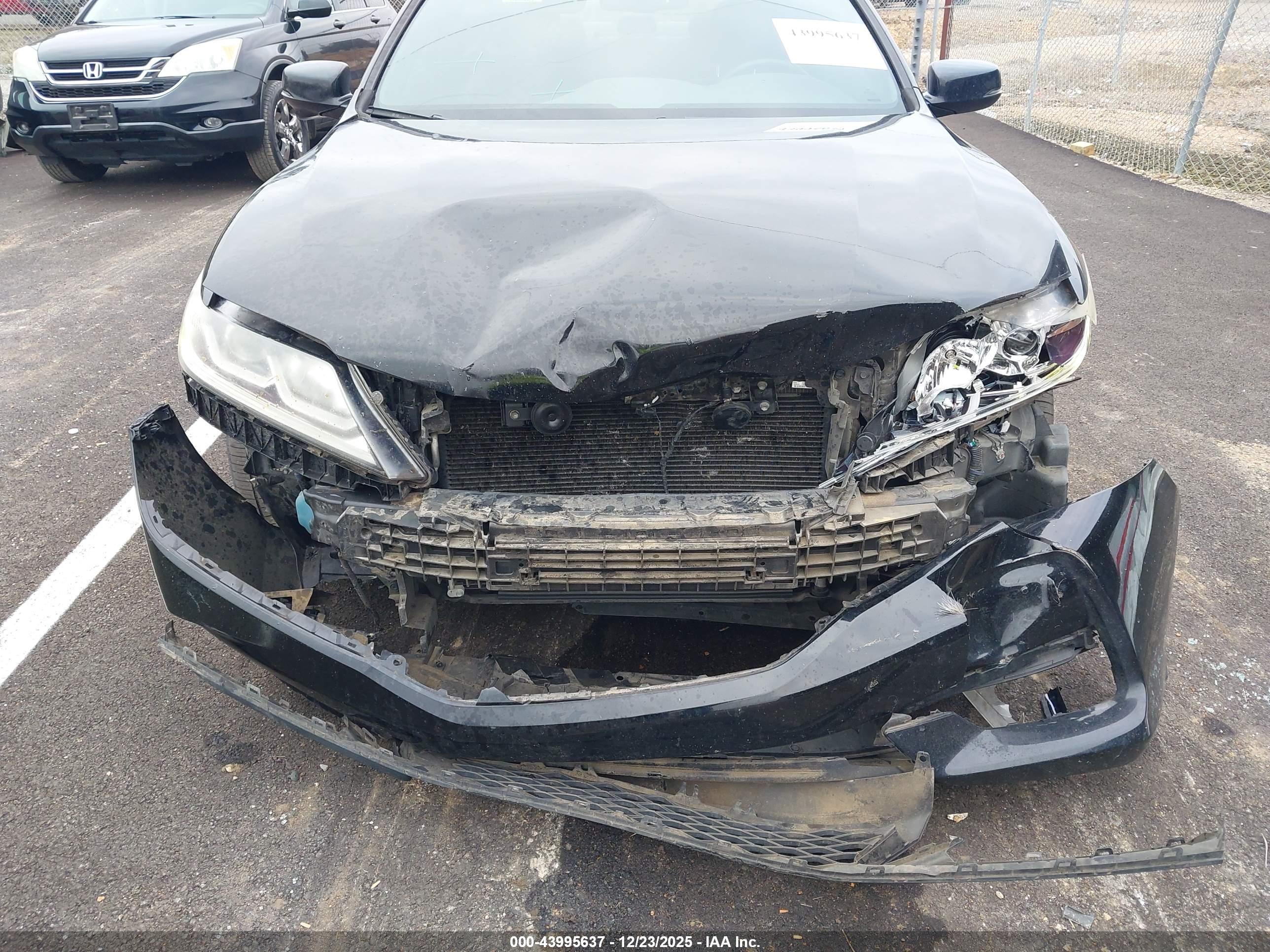 HONDA ACCORD image 6