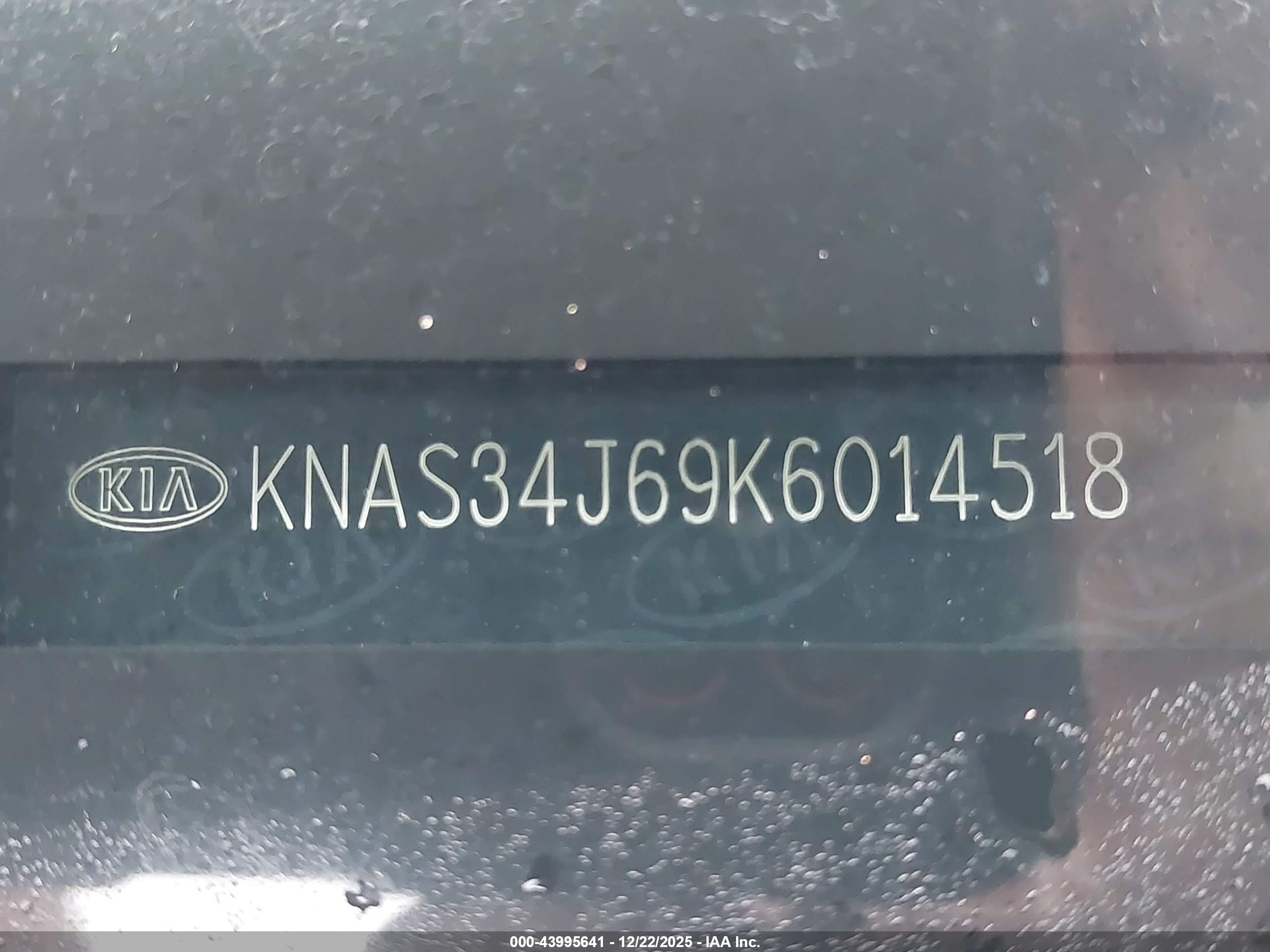 KIA K900 image 9