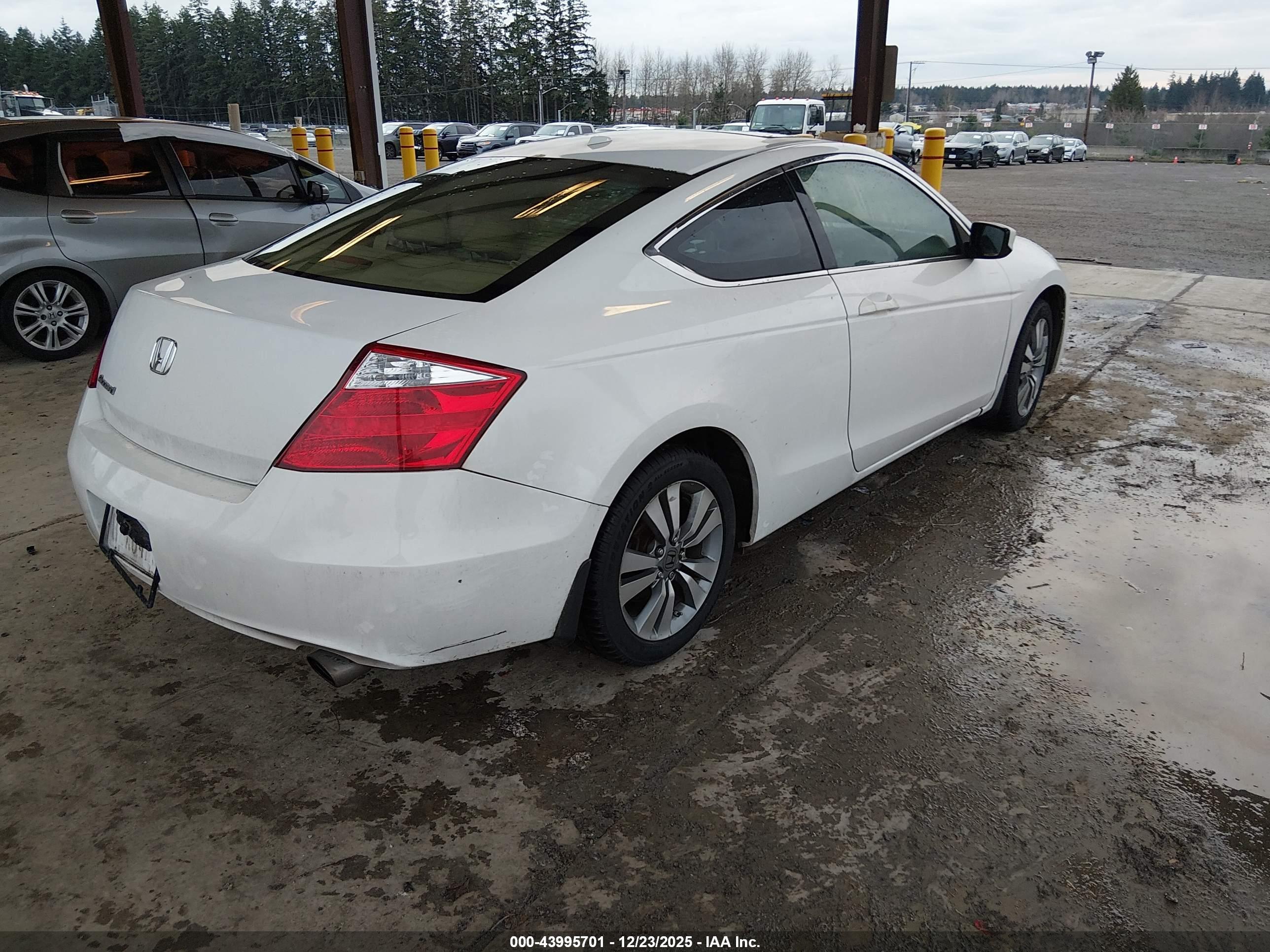 HONDA ACCORD image 4