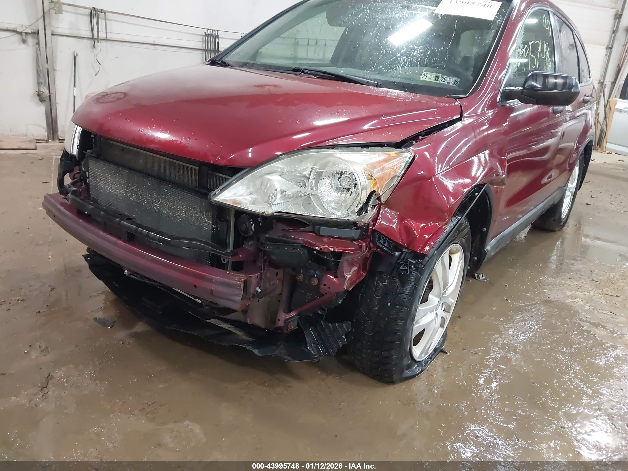 HONDA CR-V image 6