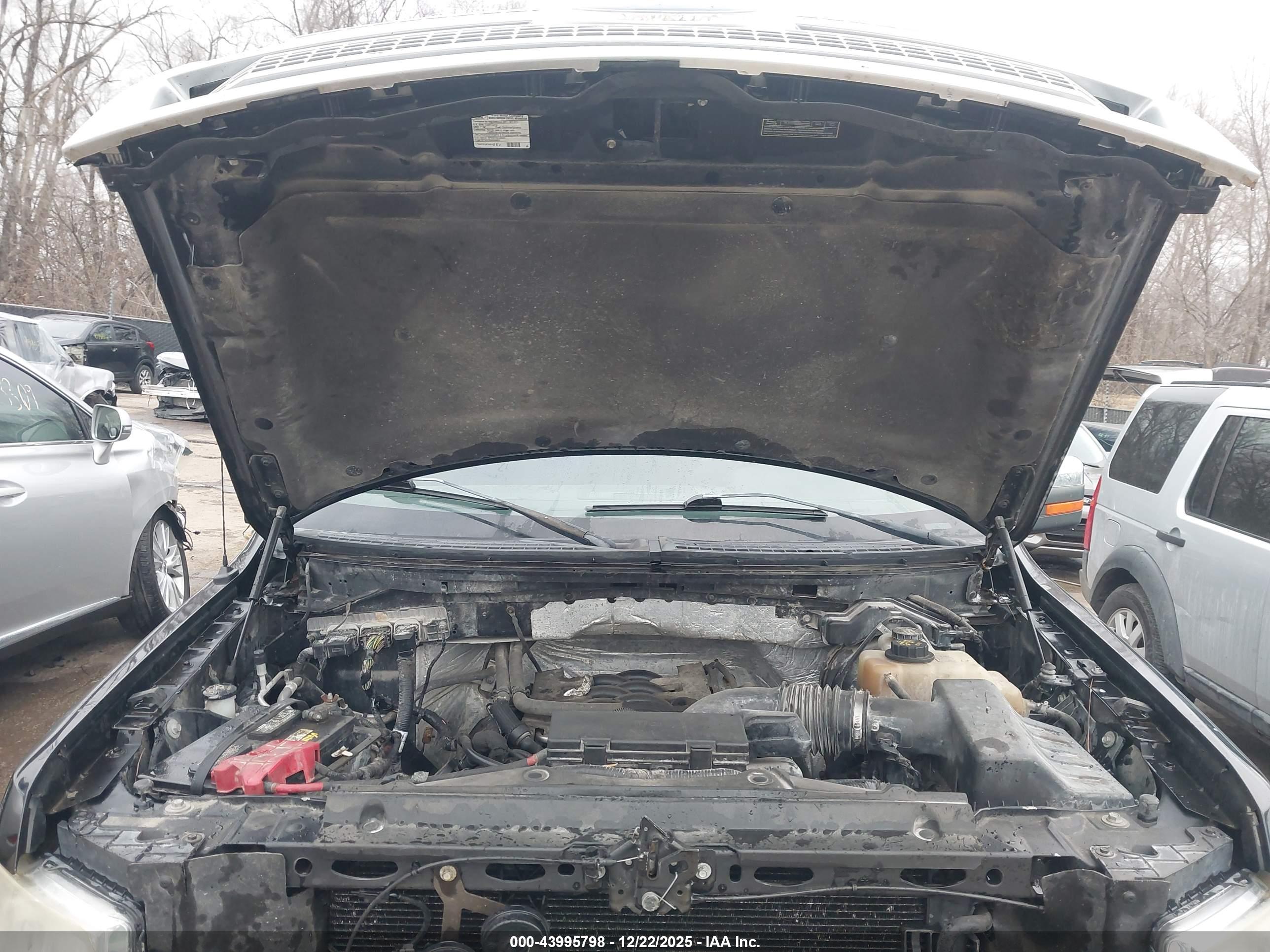 FORD F-150 image 10