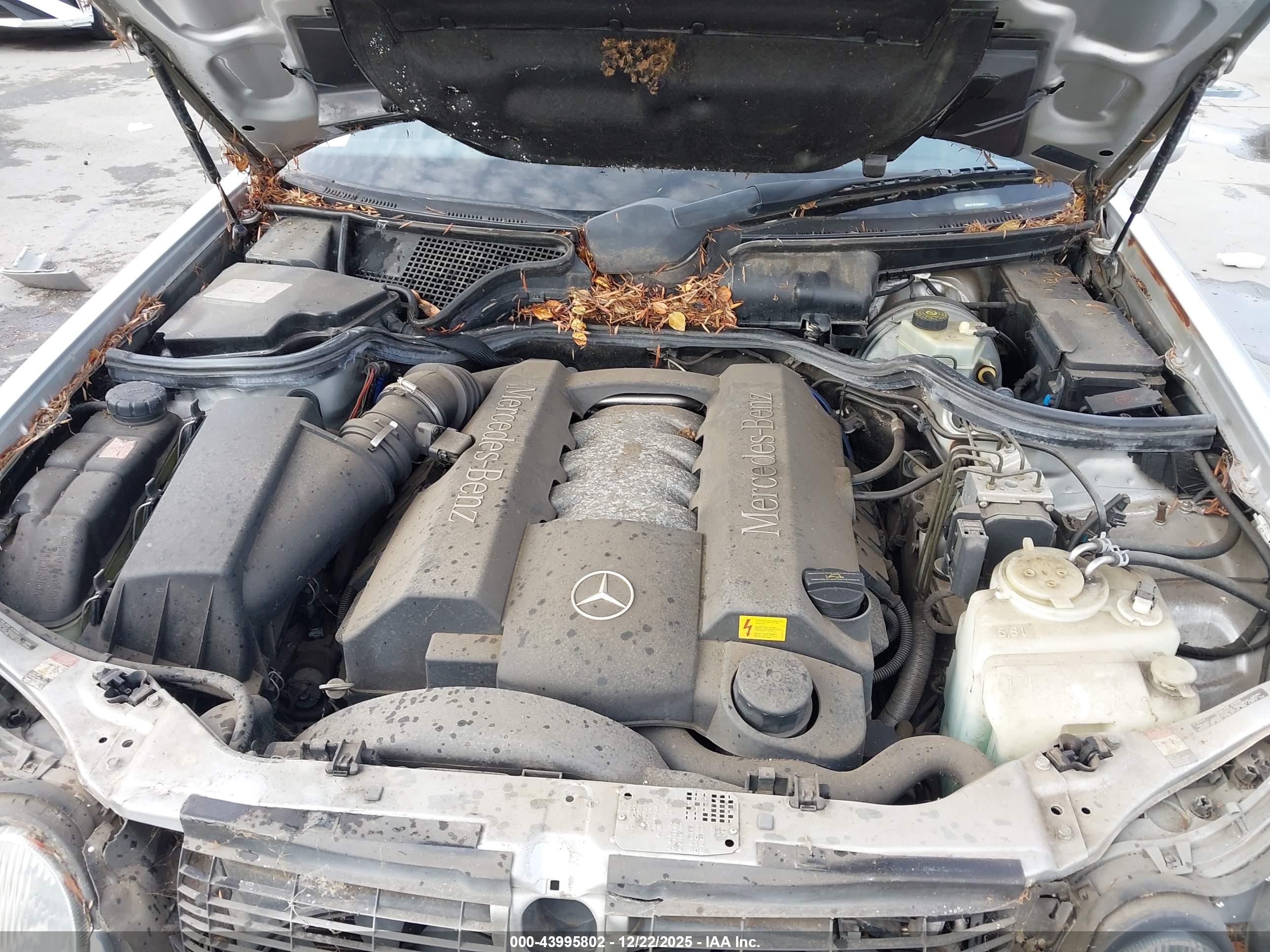 MERCEDES-BENZ E image 10
