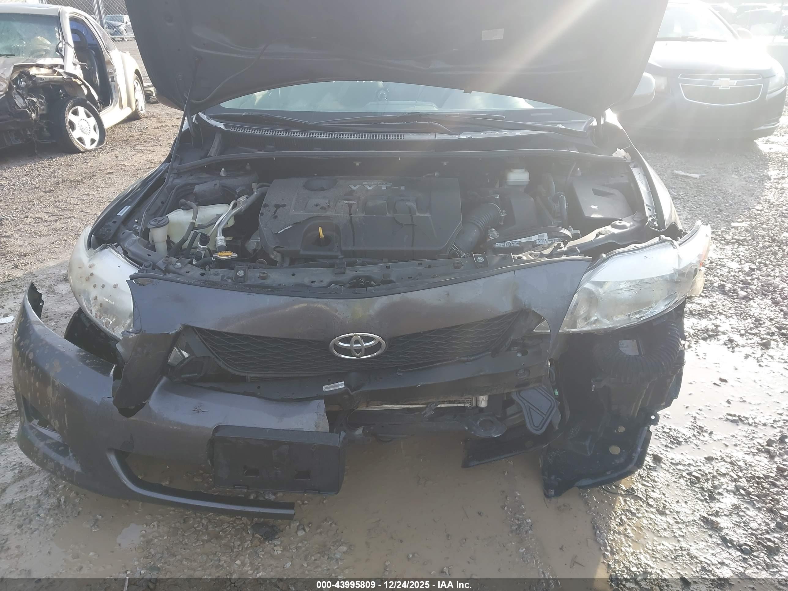 TOYOTA COROLLA image 10