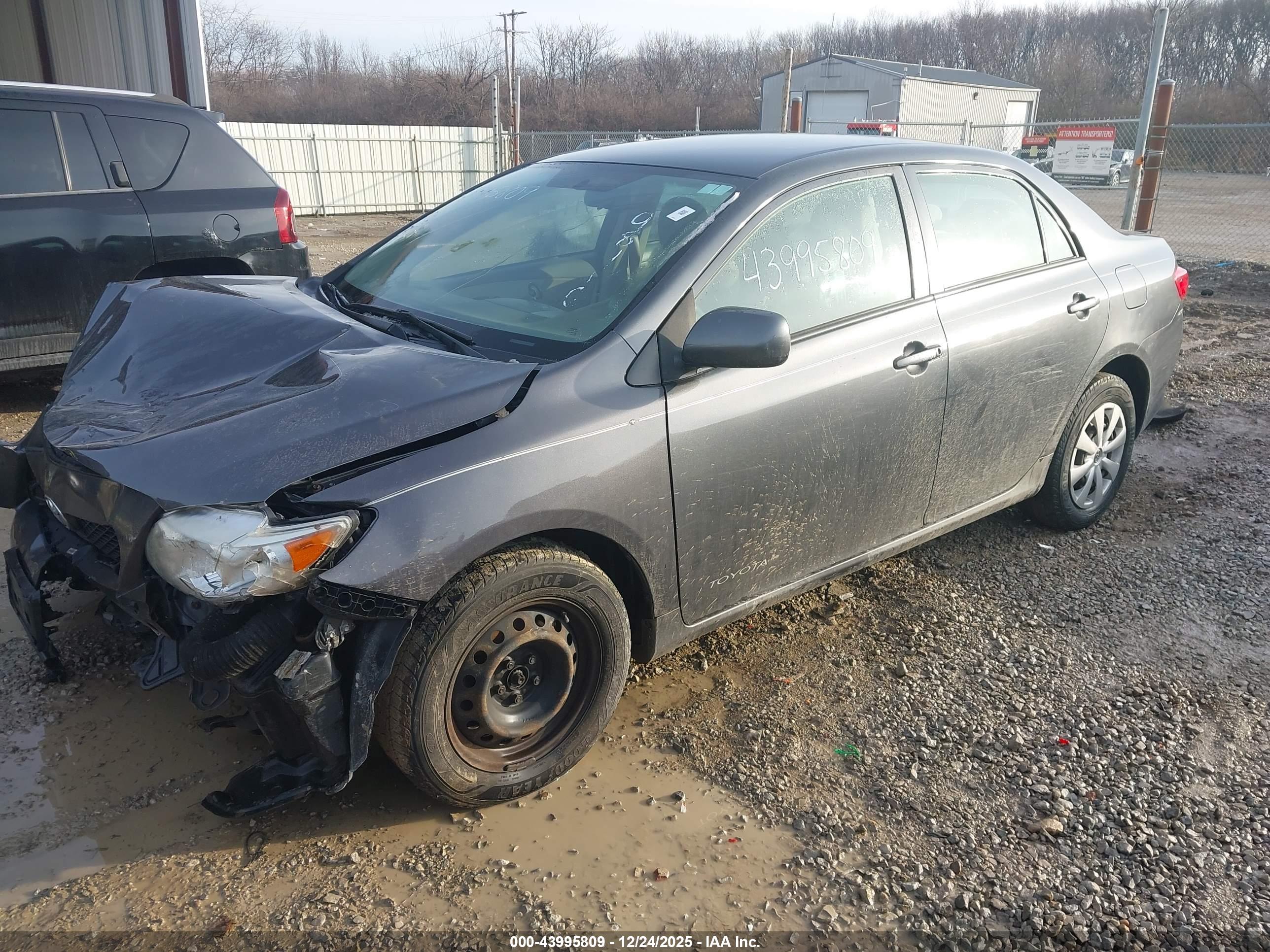 TOYOTA COROLLA image 2