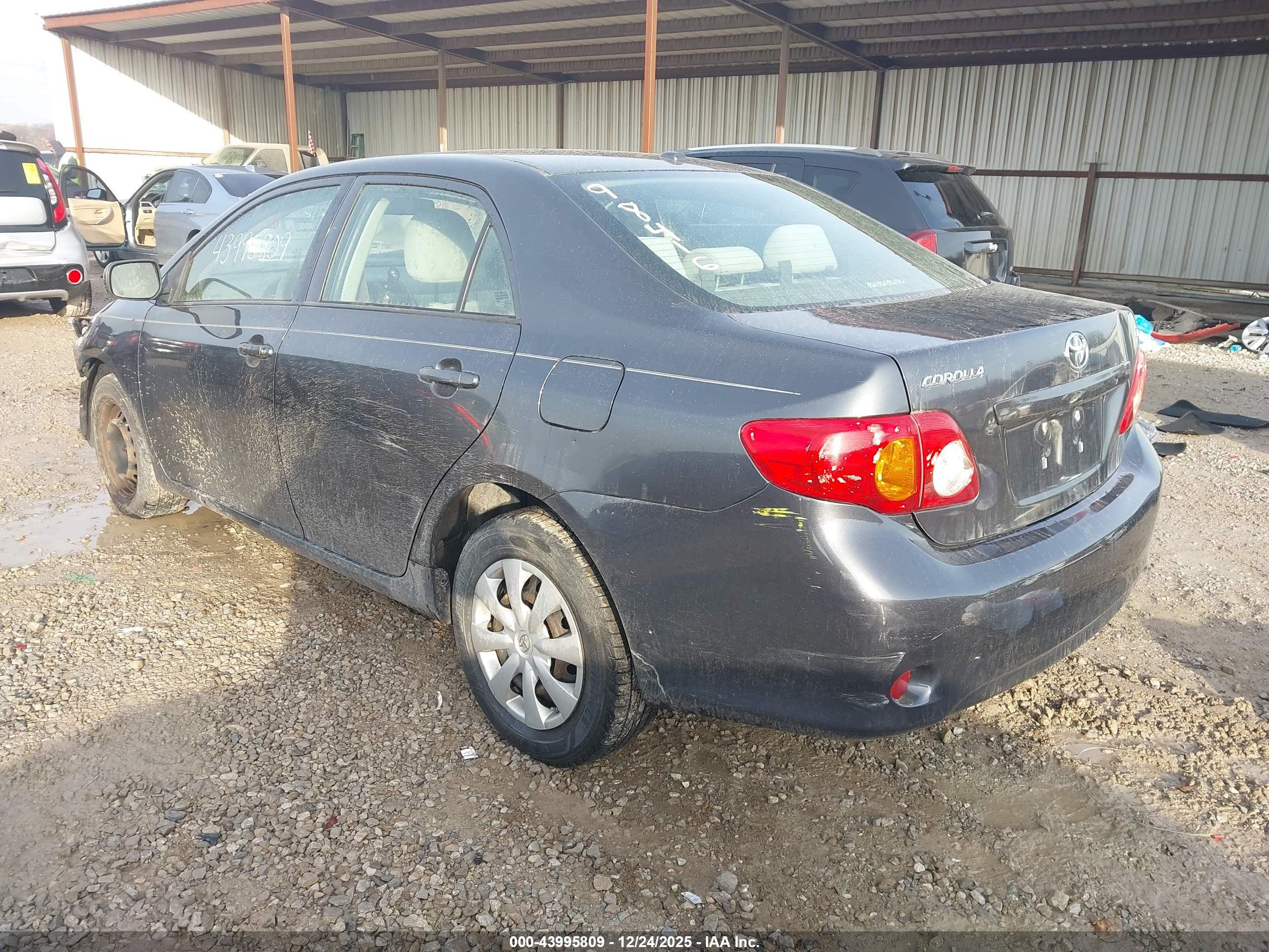 TOYOTA COROLLA image 3