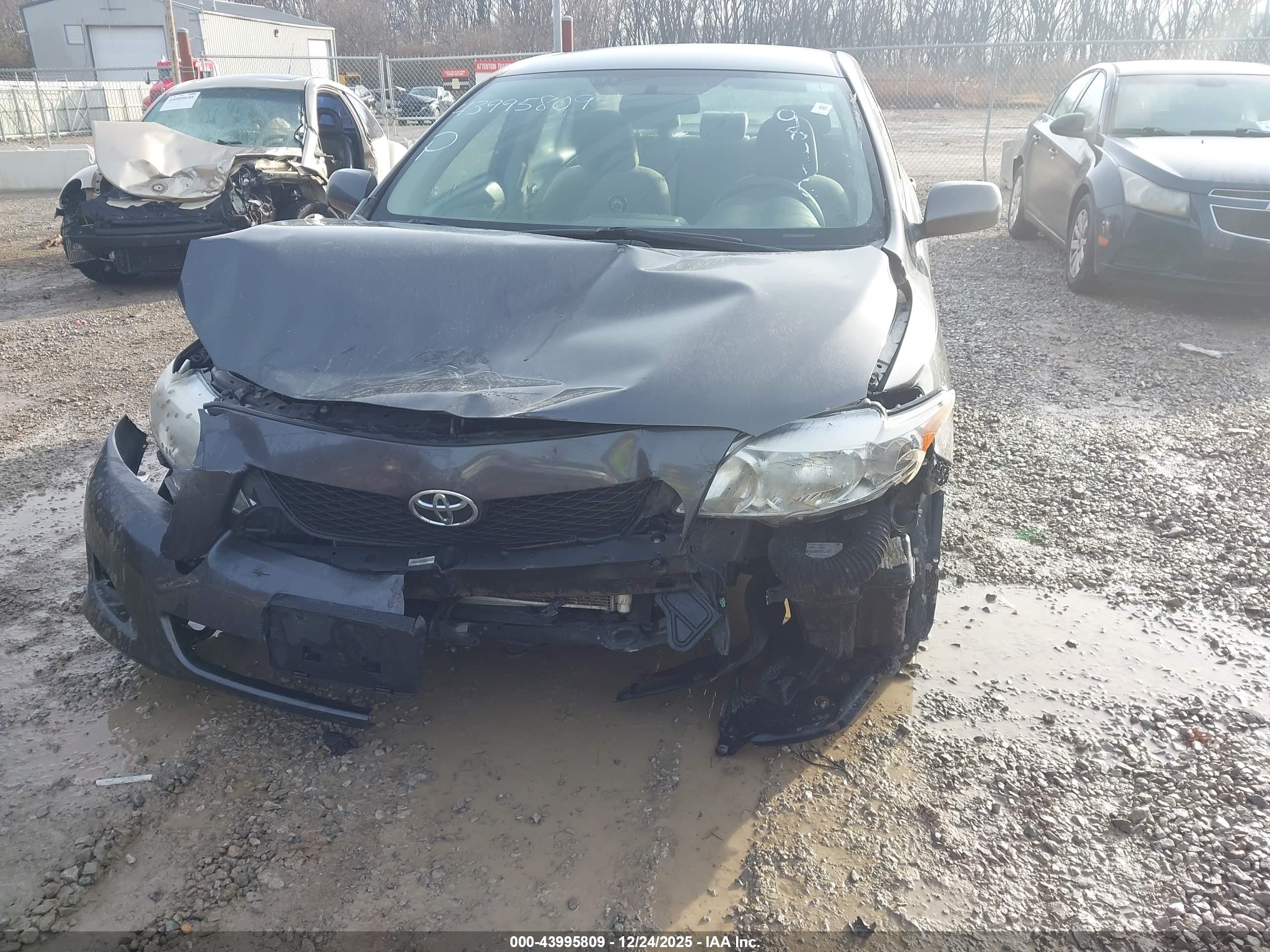 TOYOTA COROLLA image 6