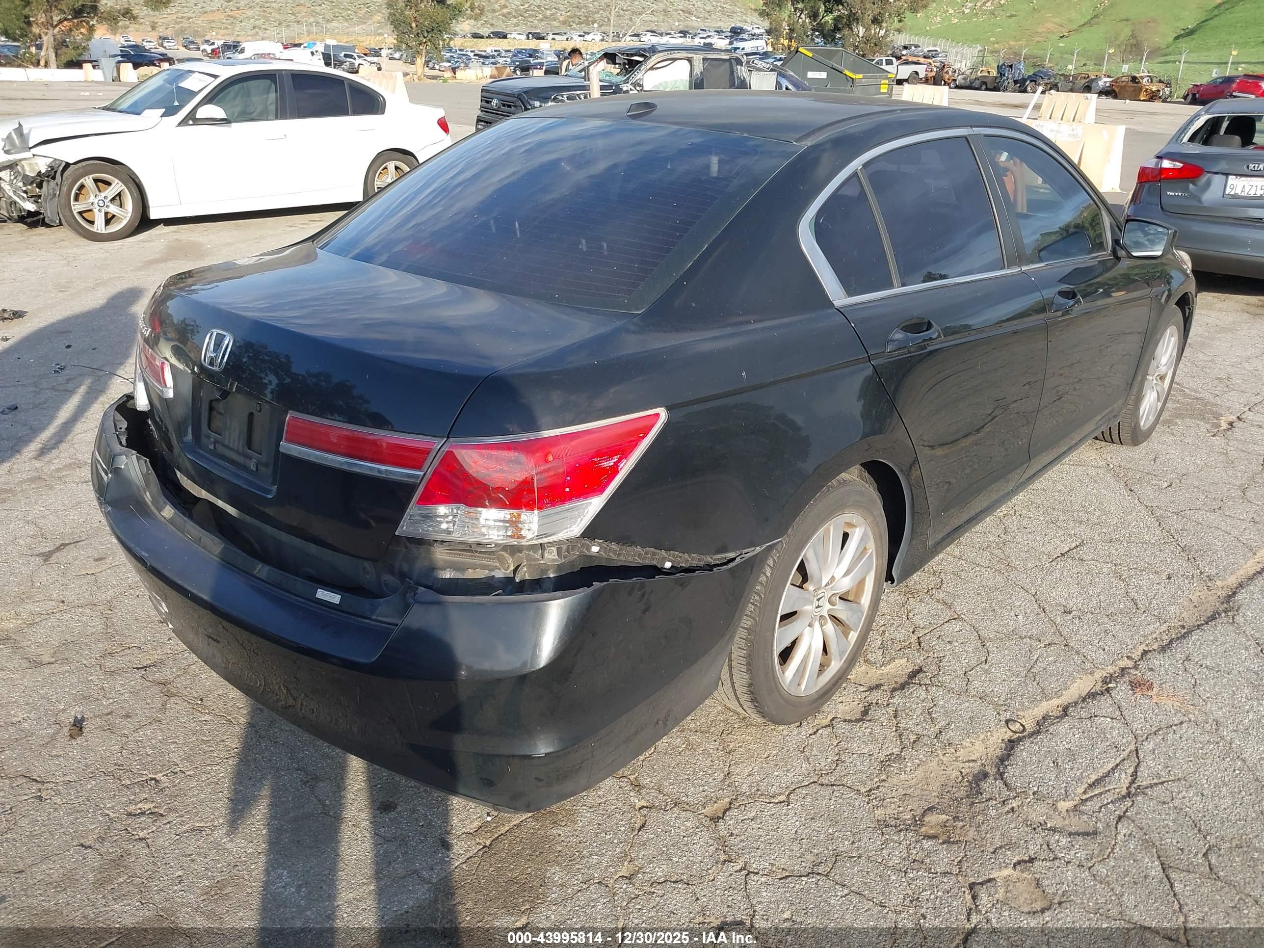 HONDA ACCORD image 4