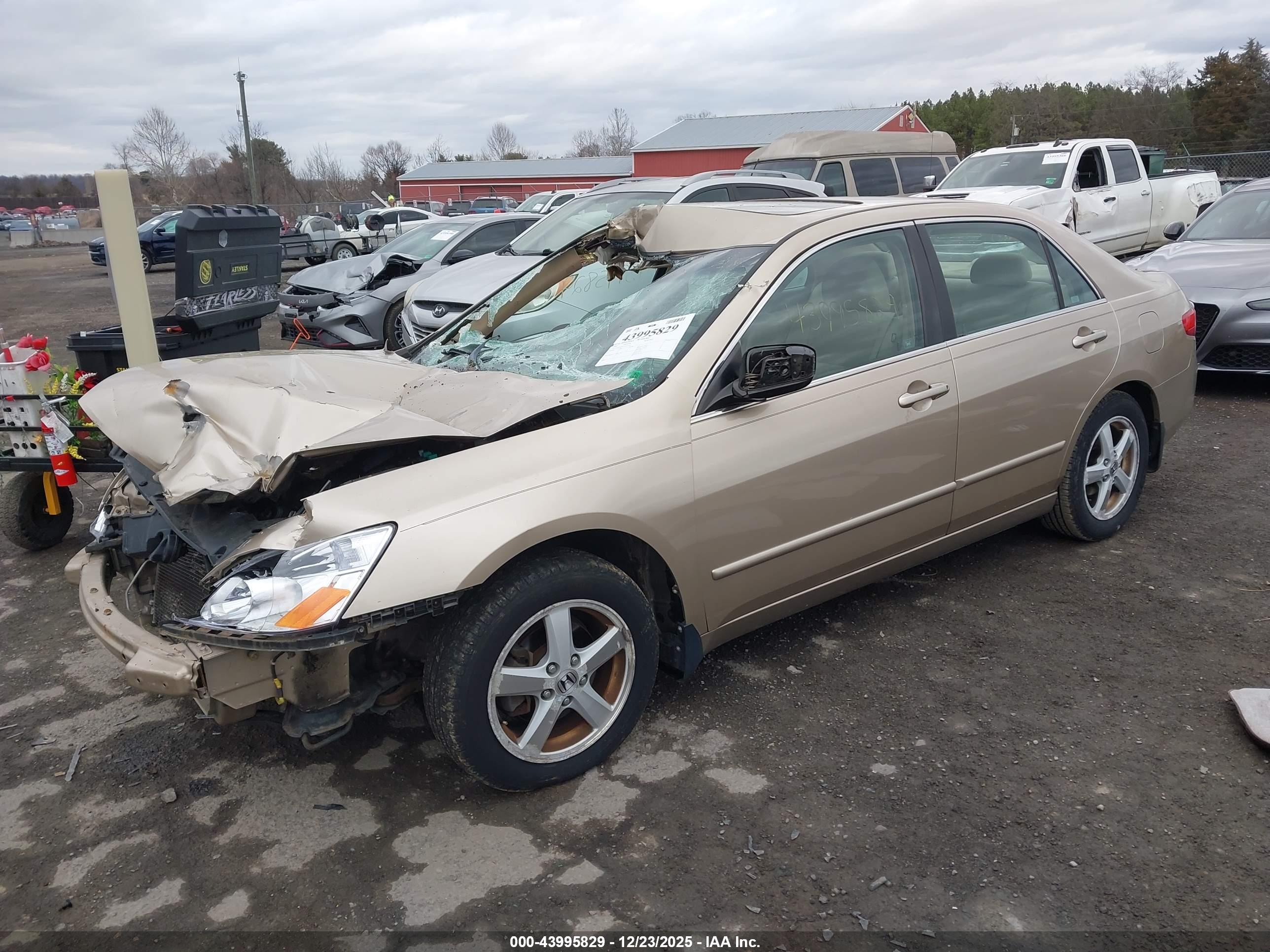 HONDA ACCORD image 2
