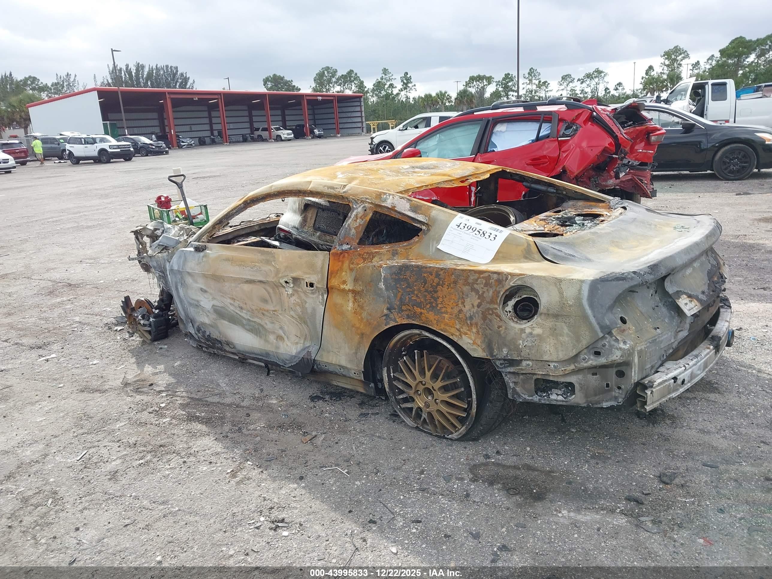 FORD MUSTANG image 3