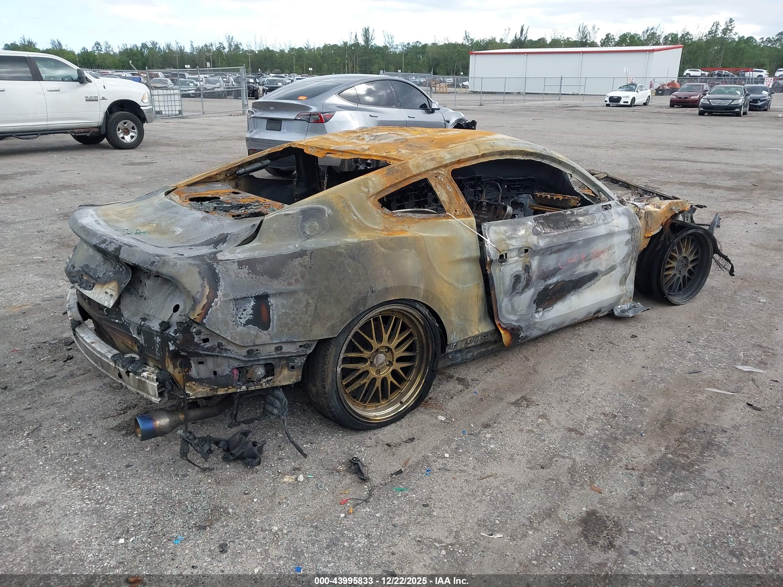 FORD MUSTANG image 4