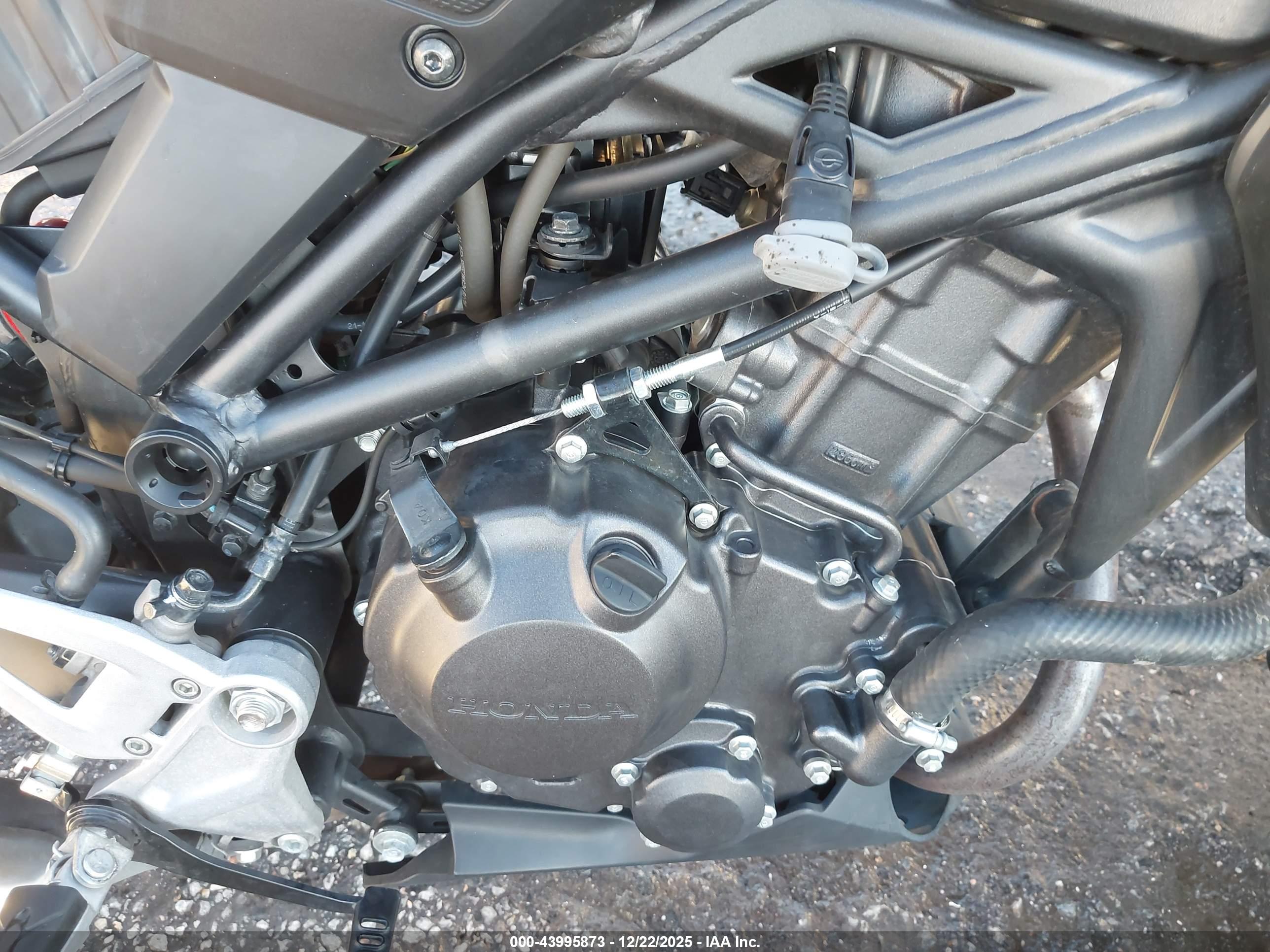 HONDA CBF300 image 8