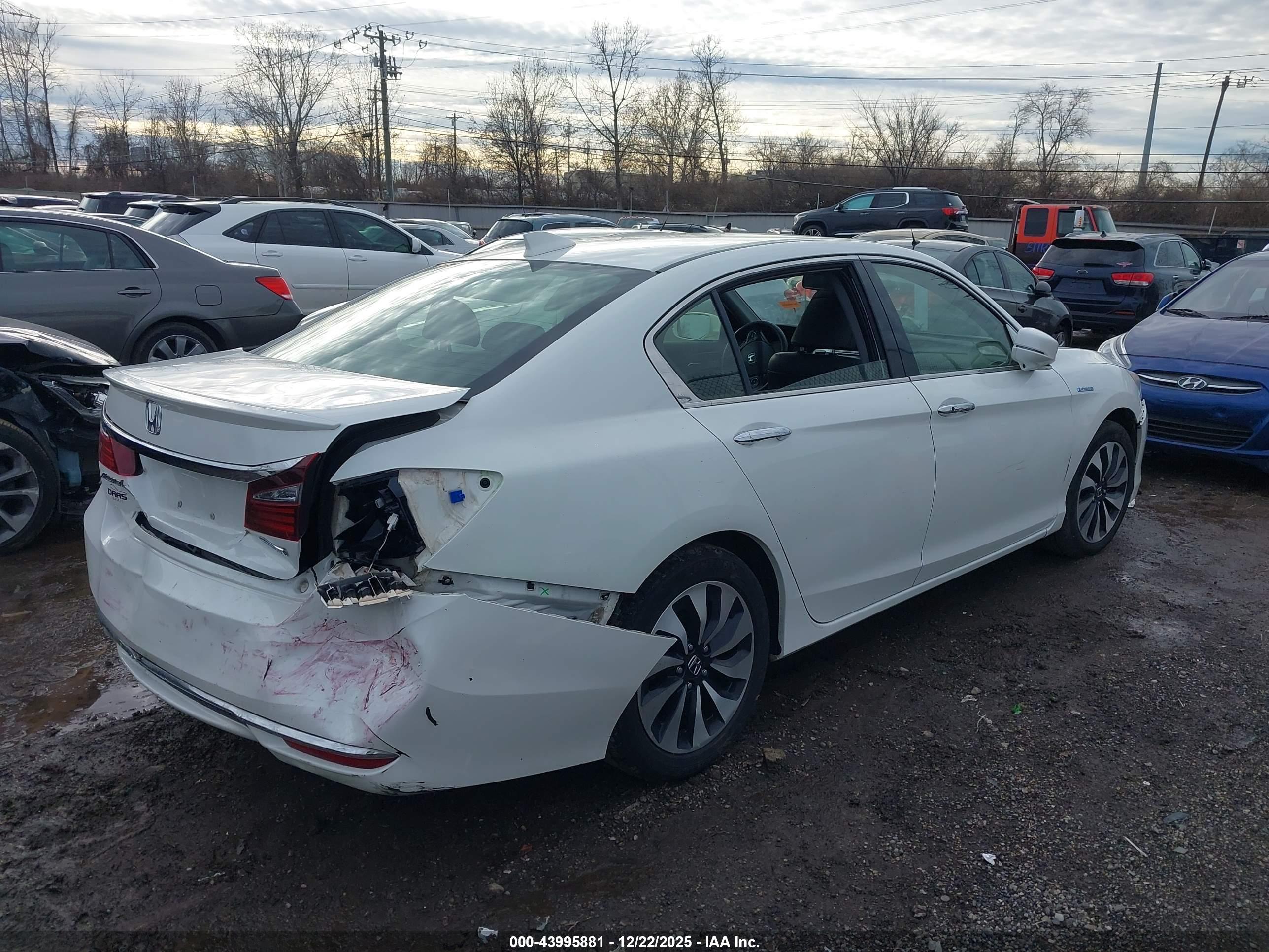 HONDA ACCORD image 4