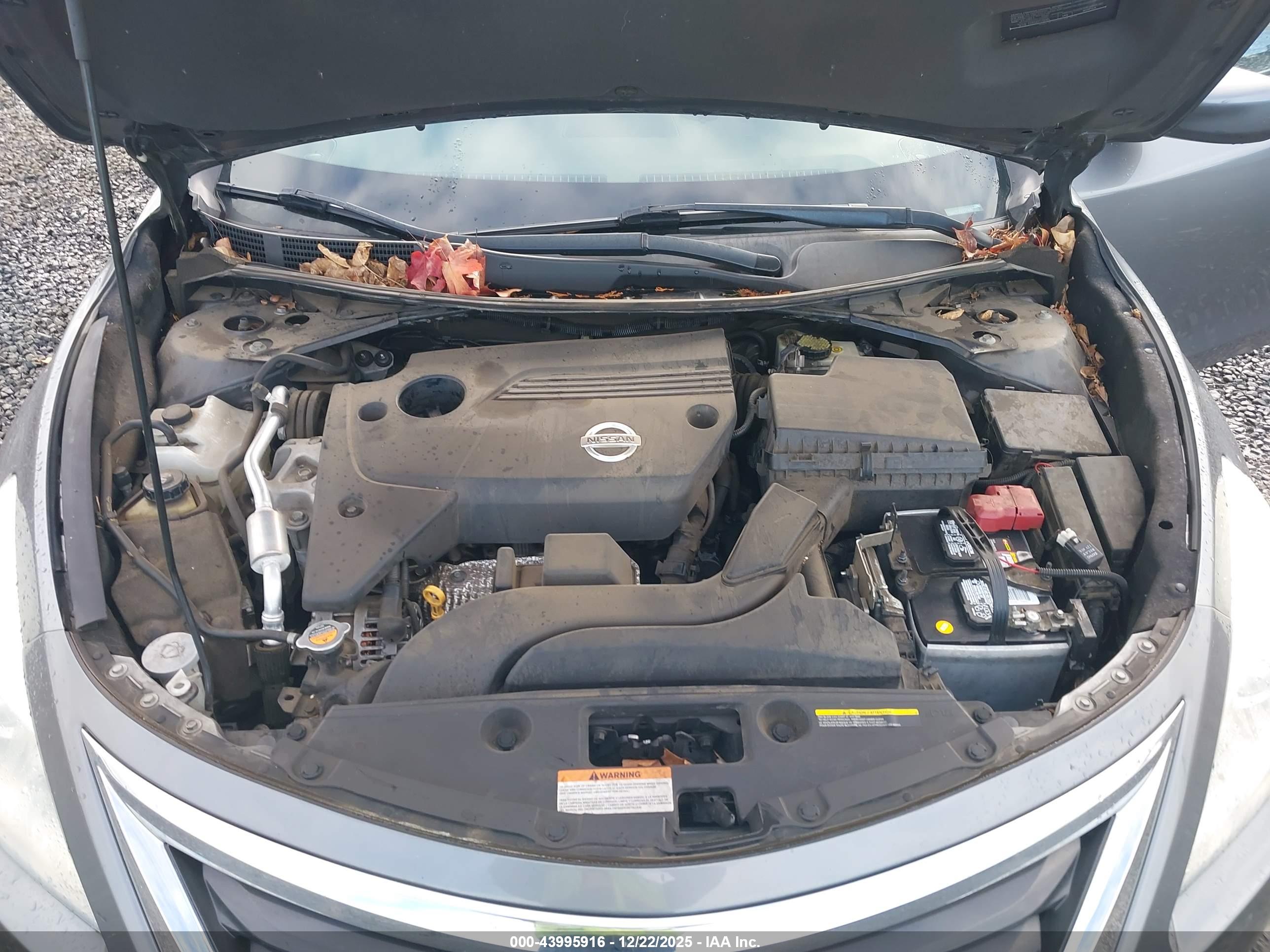 NISSAN ALTIMA image 10