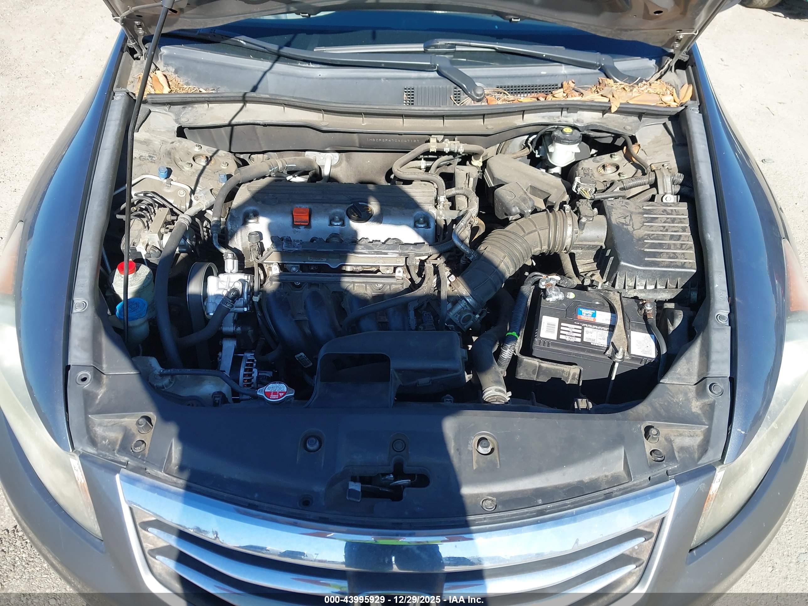 HONDA ACCORD image 10