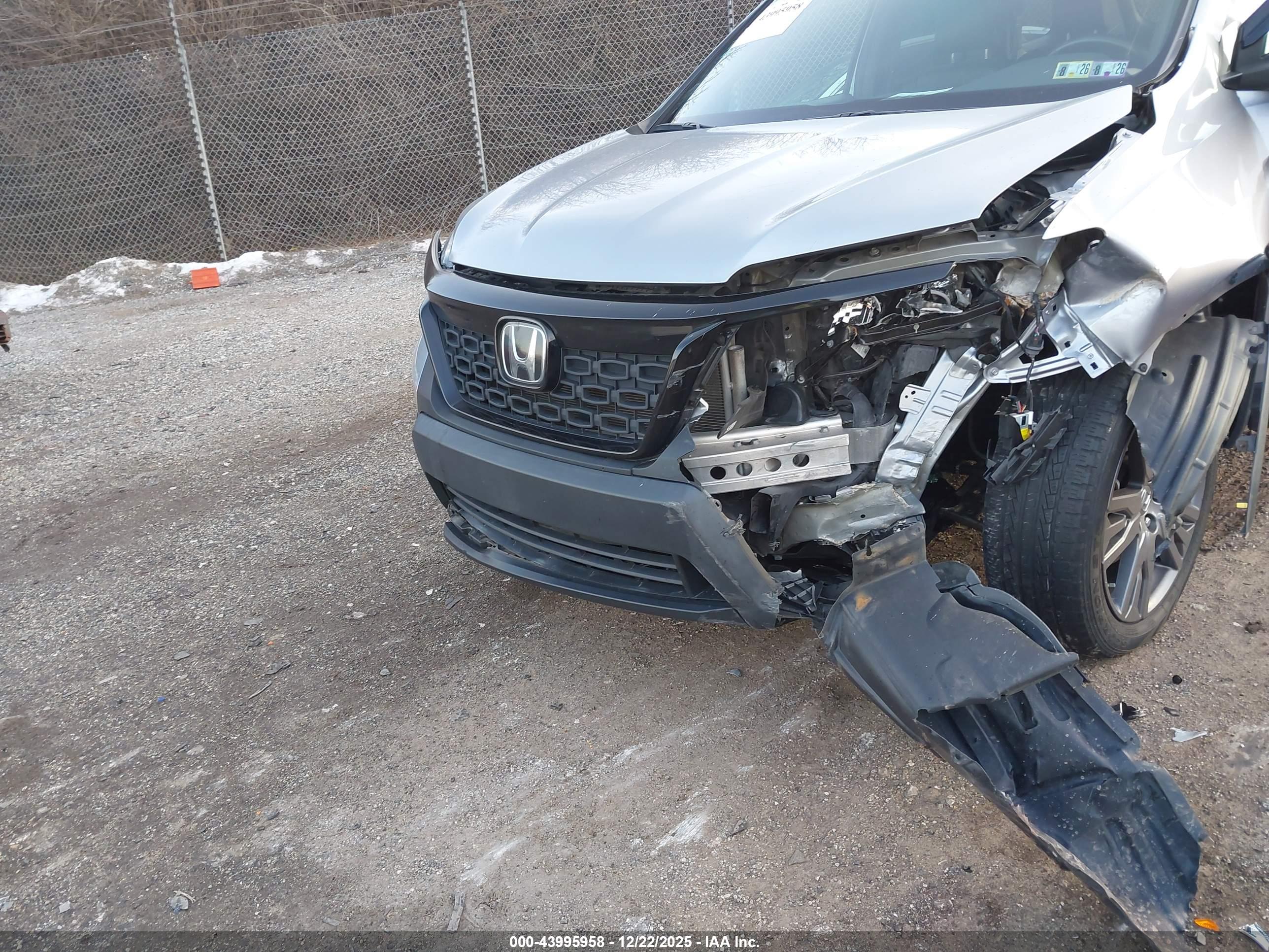 HONDA PASSPORT image 6