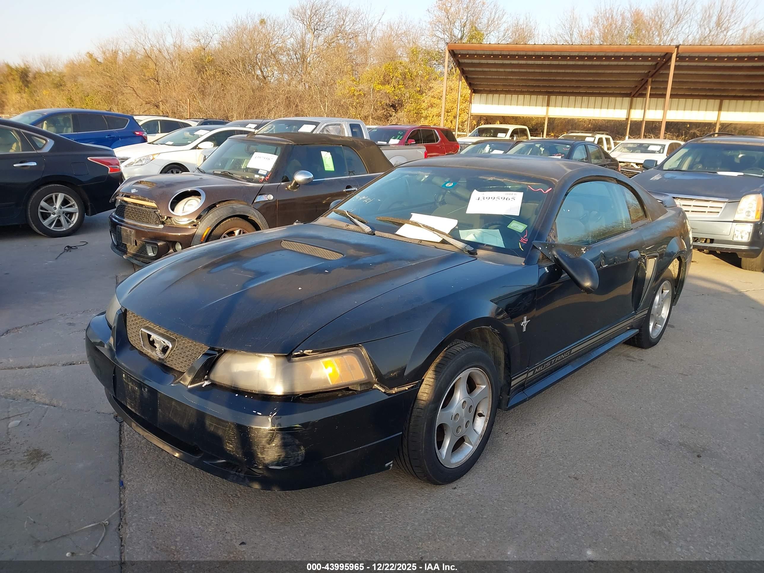 FORD MUSTANG image 2