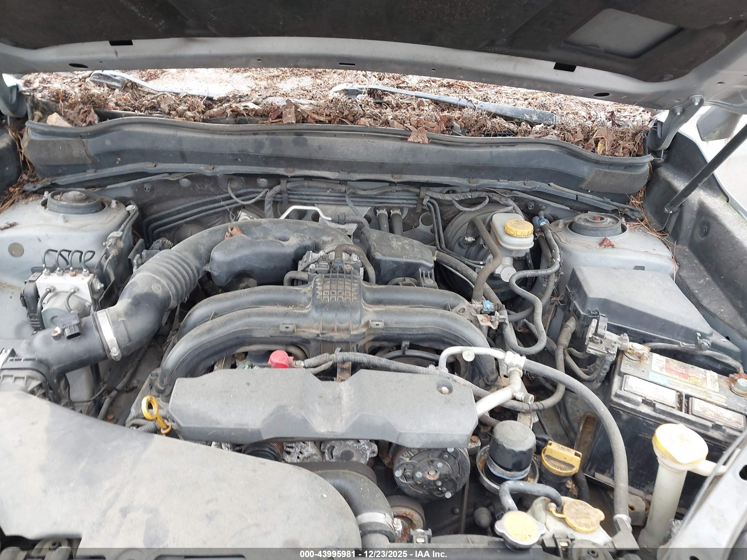 SUBARU FORESTER image 10