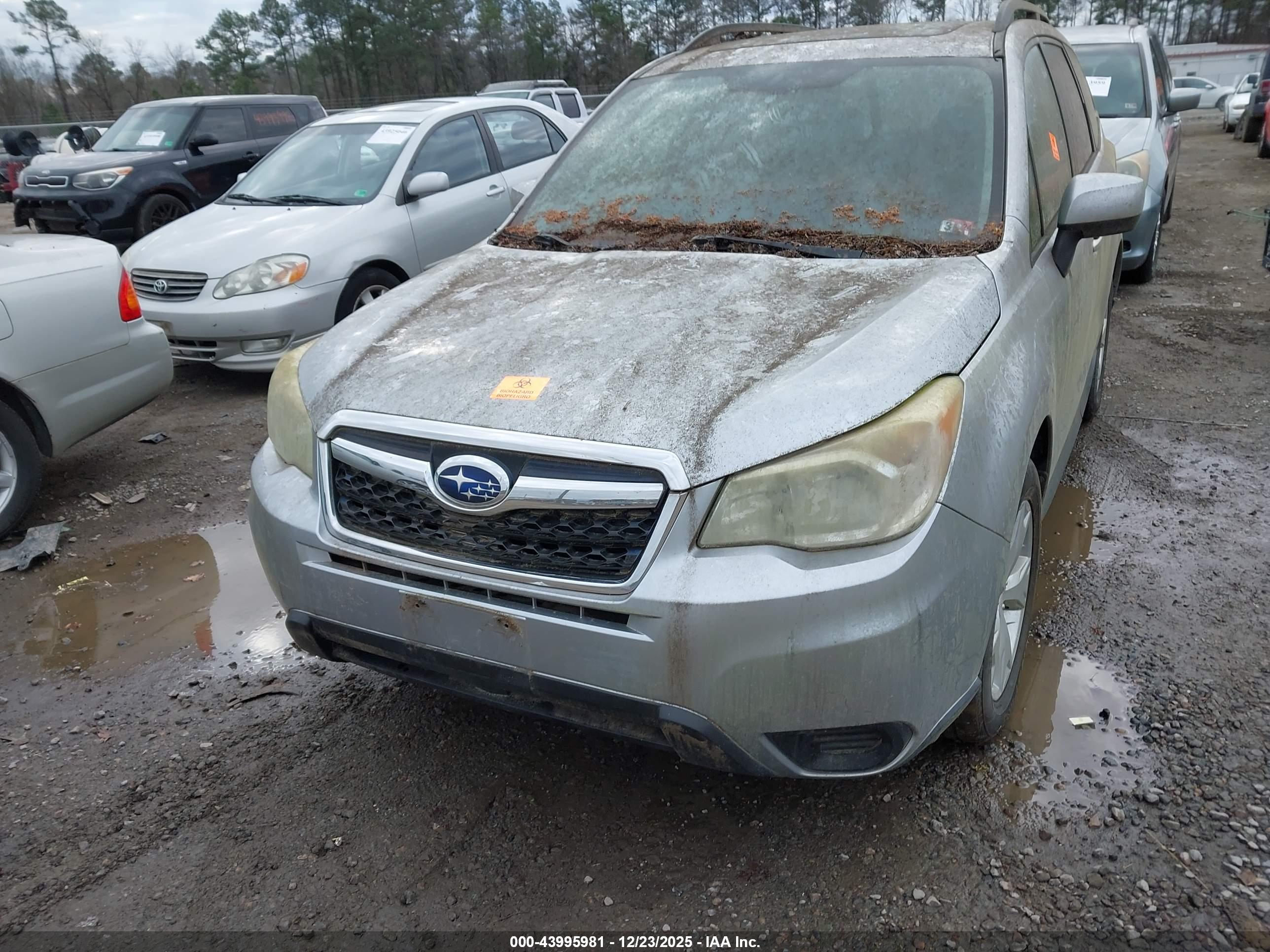 SUBARU FORESTER image 6