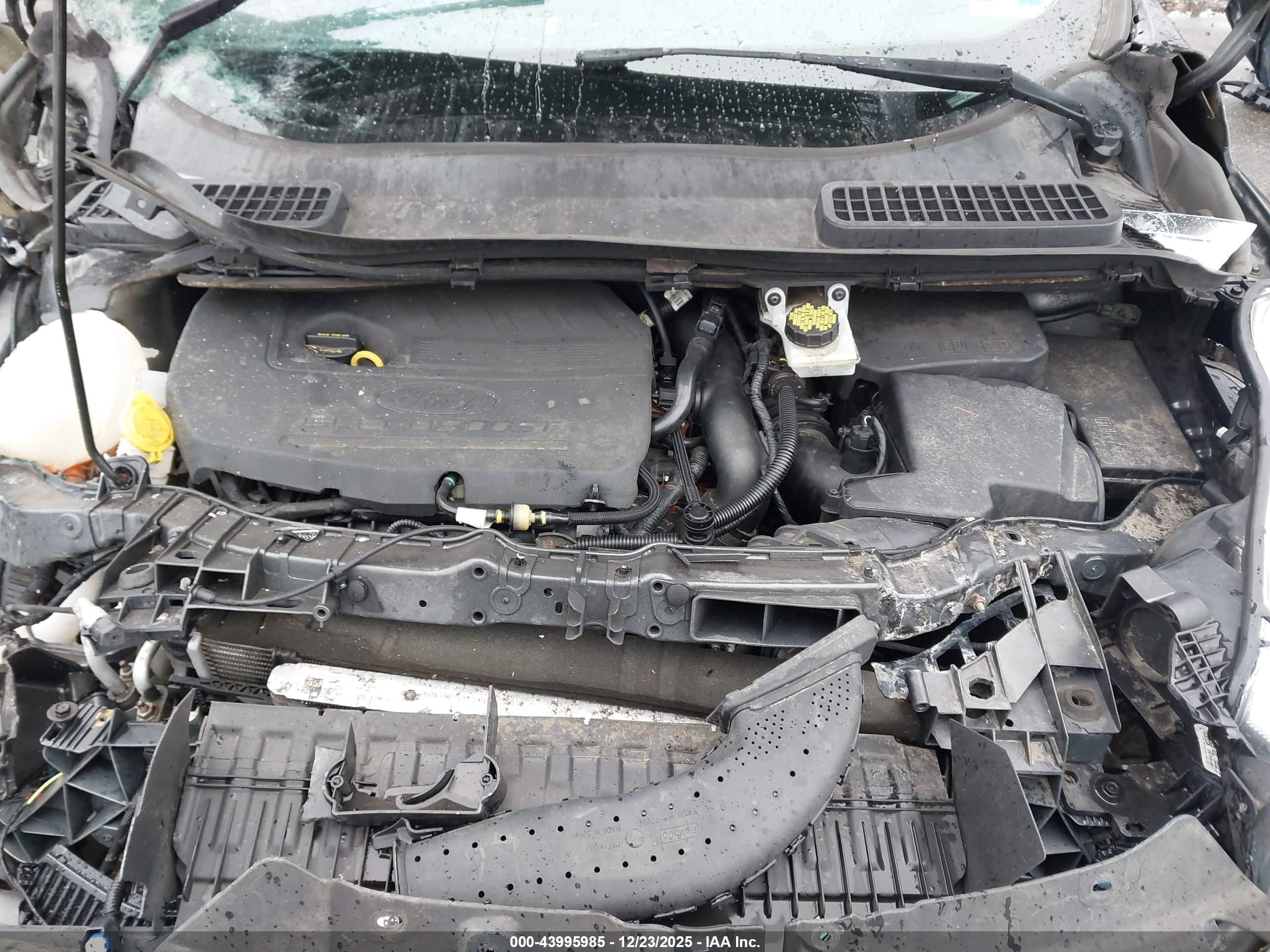 FORD ESCAPE image 10