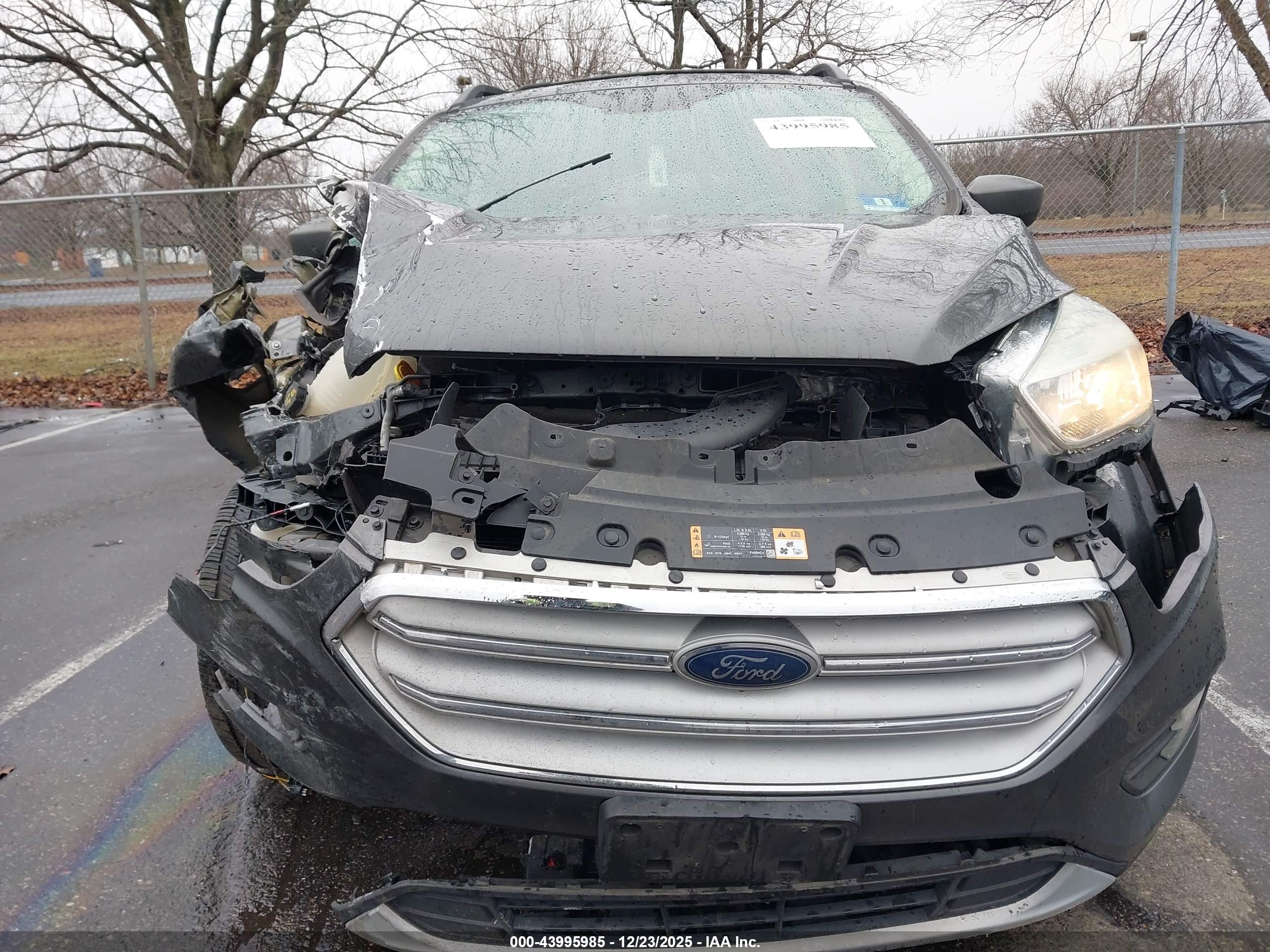 FORD ESCAPE image 6