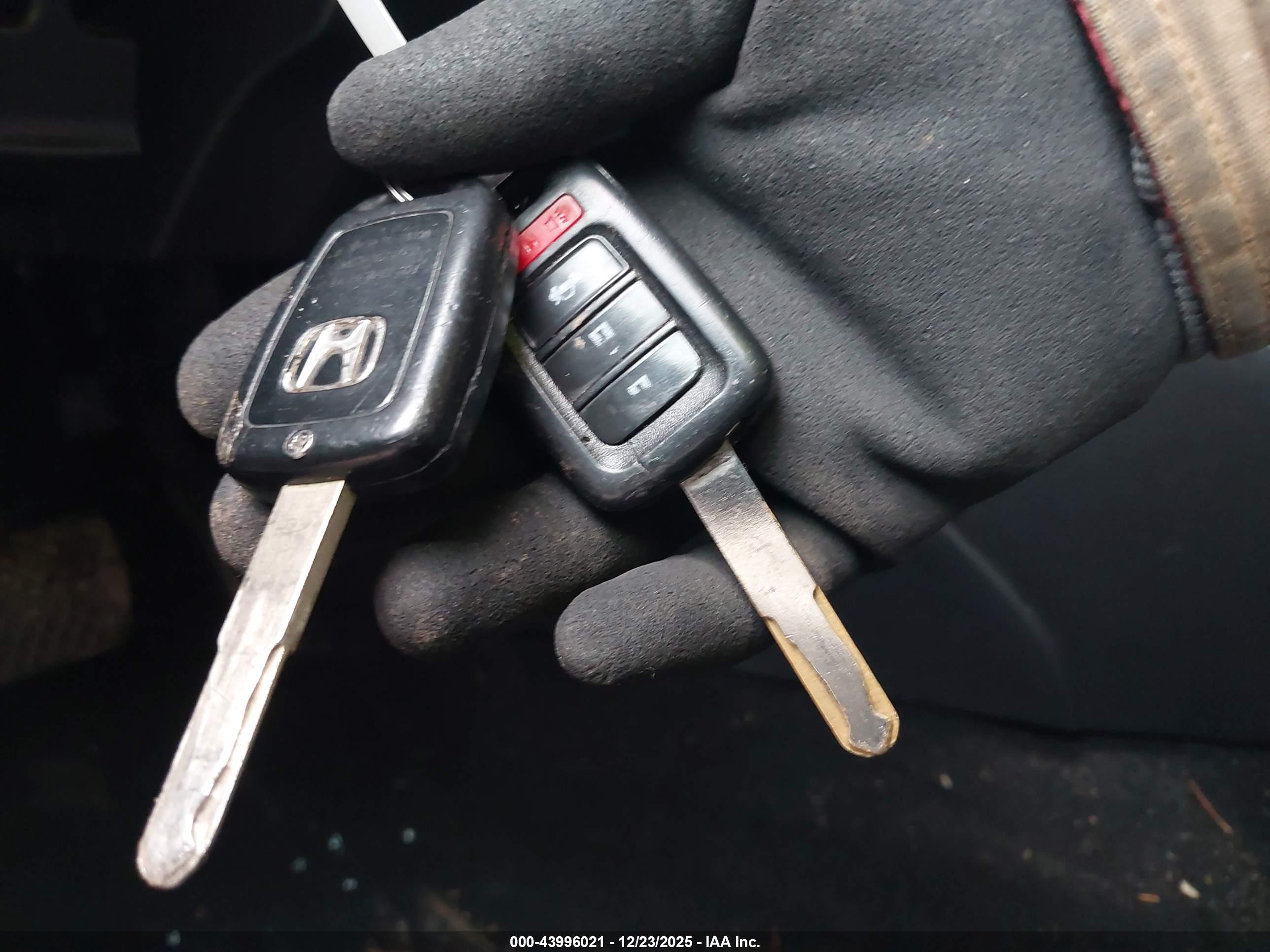 HONDA ACCORD image 11