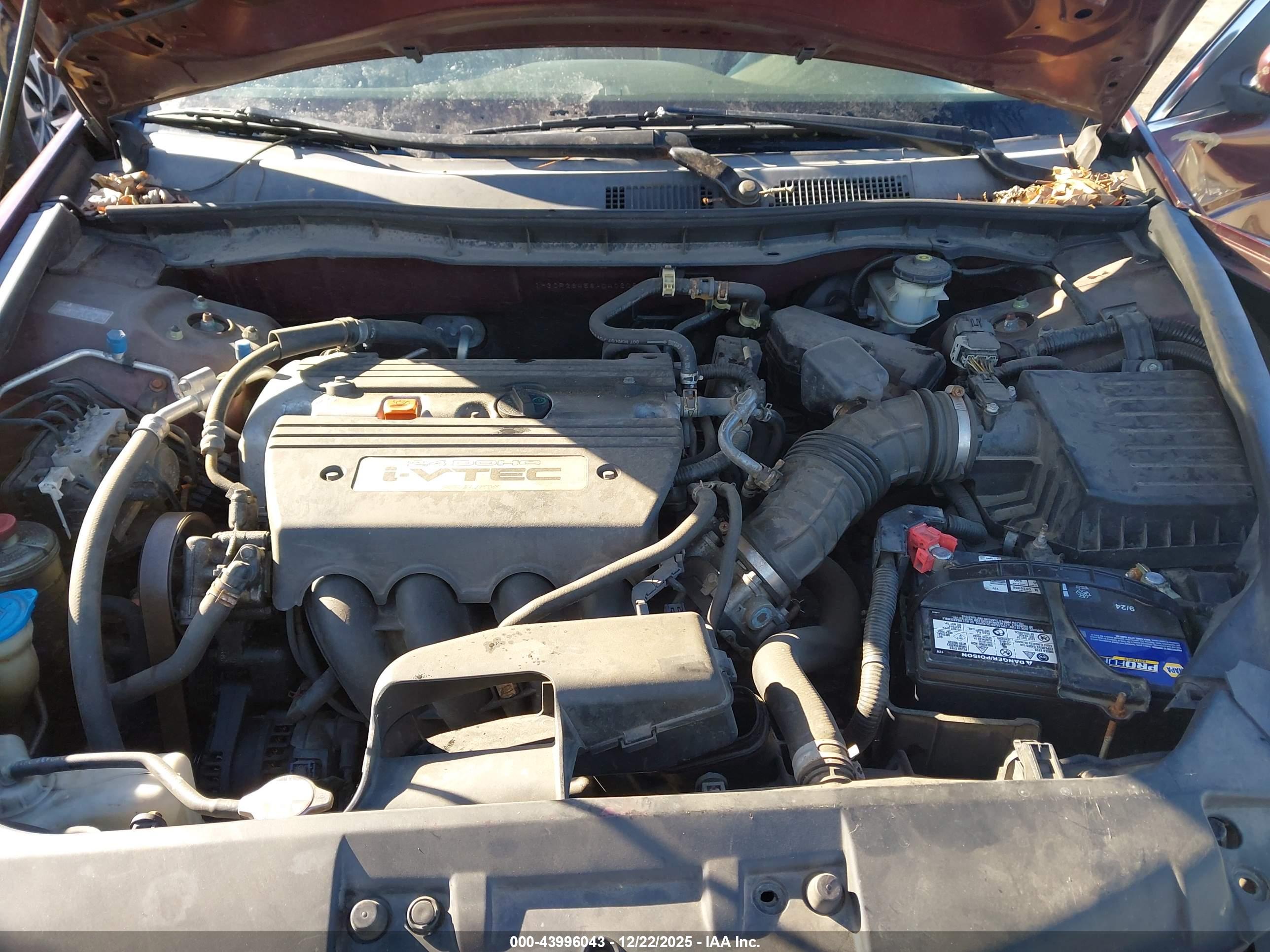 HONDA ACCORD image 10