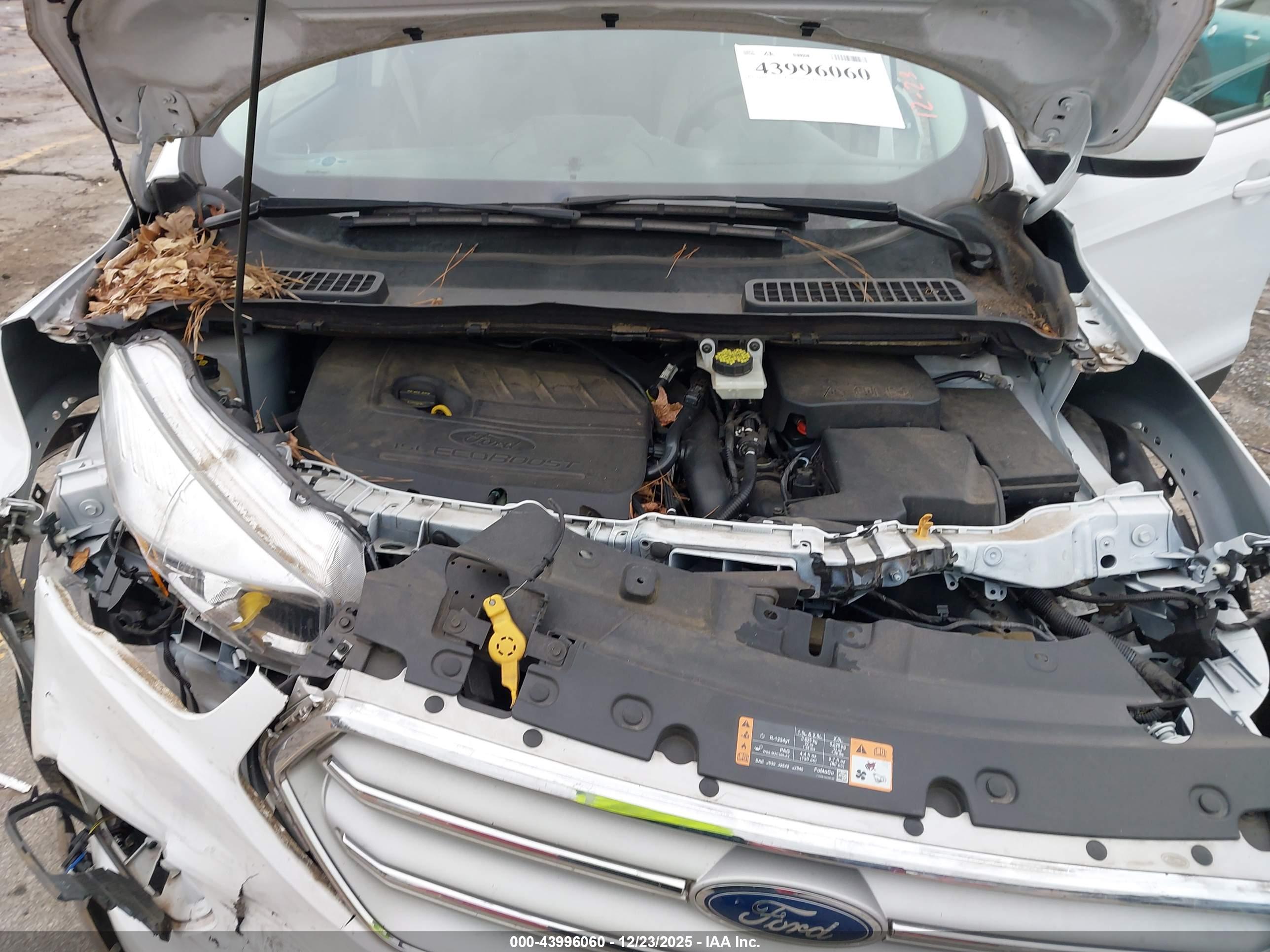FORD ESCAPE image 10